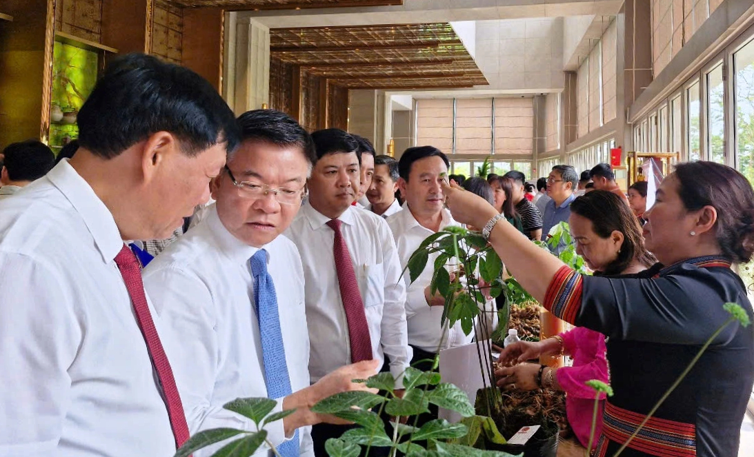 Phó thủ tướng: 'Cần nhìn lớn, nhìn xa hơn để phát triển ngành công nghiệp dược liệu' - Ảnh 3.