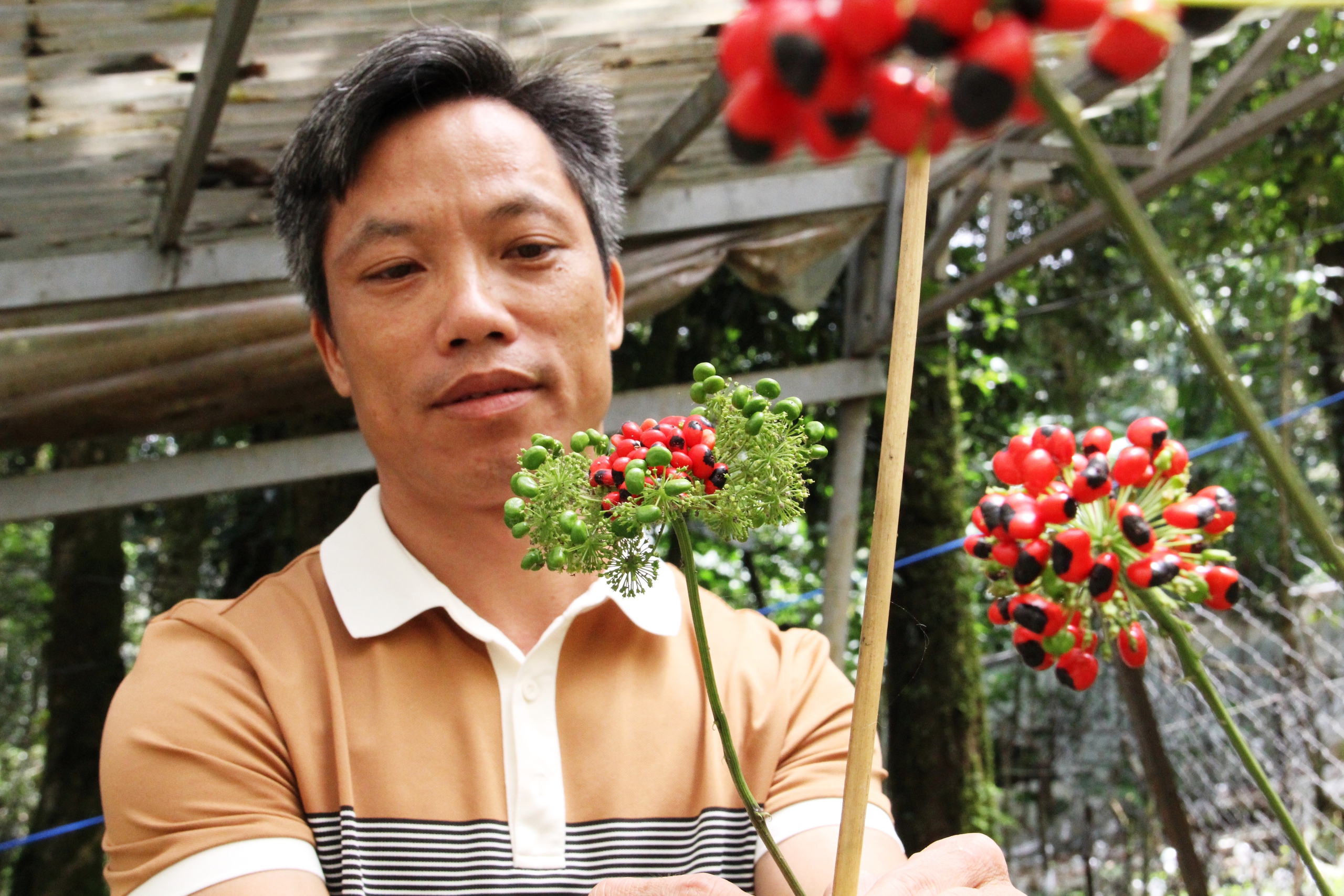 Phó thủ tướng: 'Cần nhìn lớn, nhìn xa hơn để phát triển ngành công nghiệp dược liệu' - Ảnh 1.