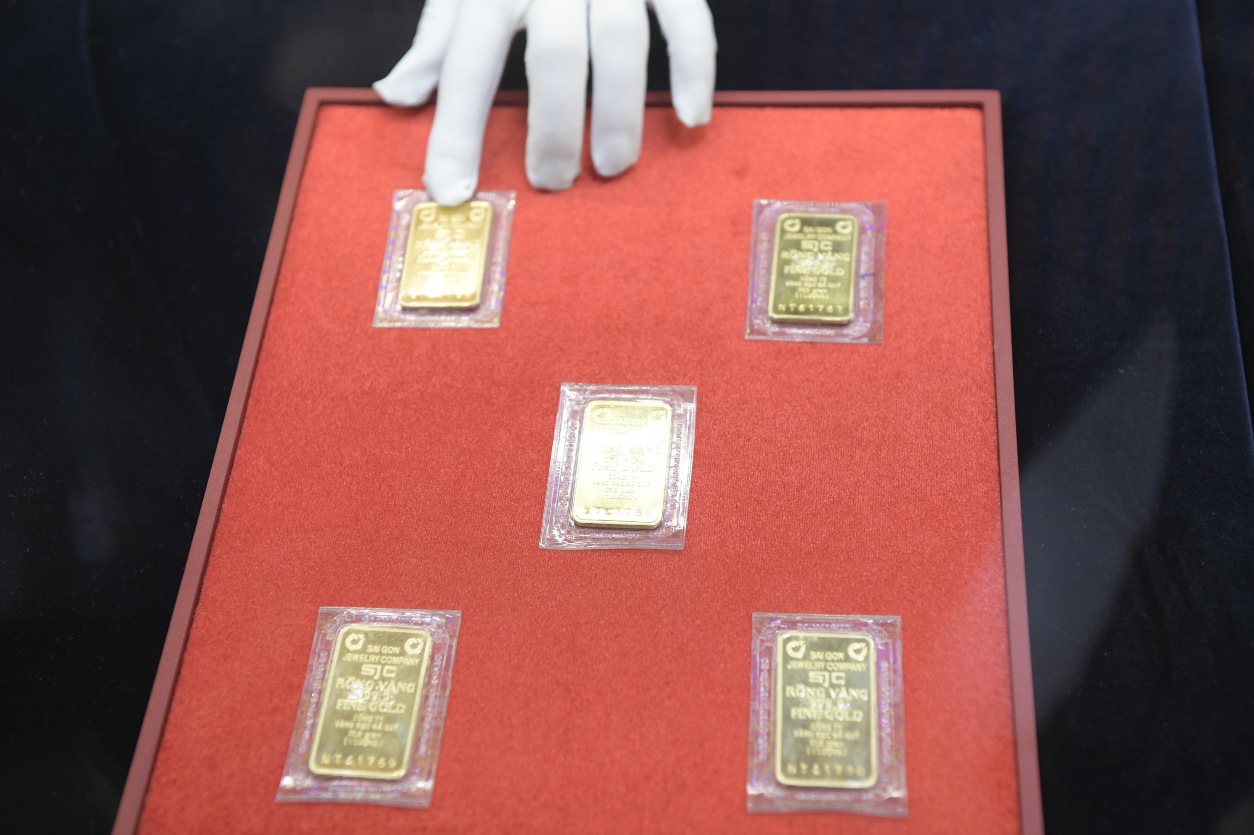 Giá vàng hôm nay 15.11.2026: - Ảnh 1.