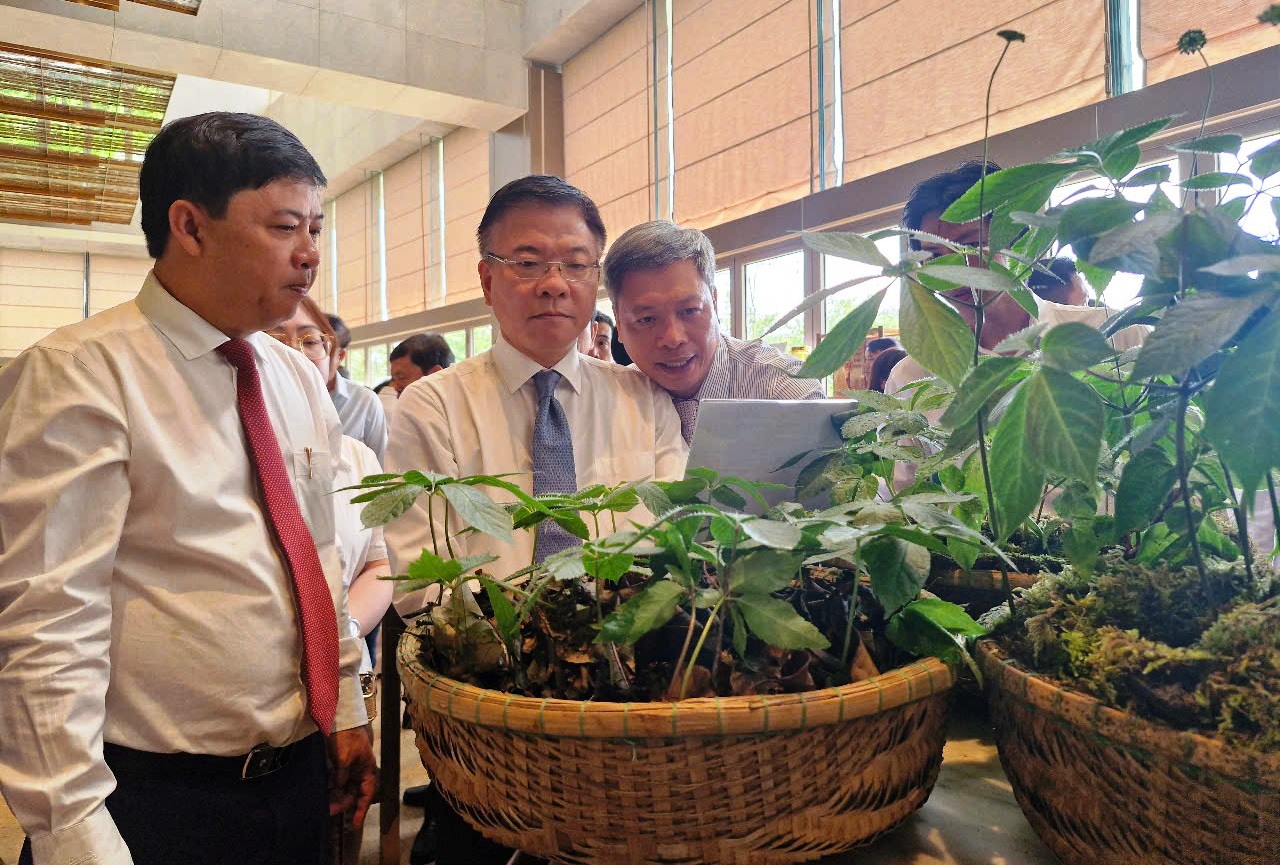 Phó thủ tướng: 'Cần nhìn lớn, nhìn xa hơn để phát triển ngành công nghiệp dược liệu' - Ảnh 2.