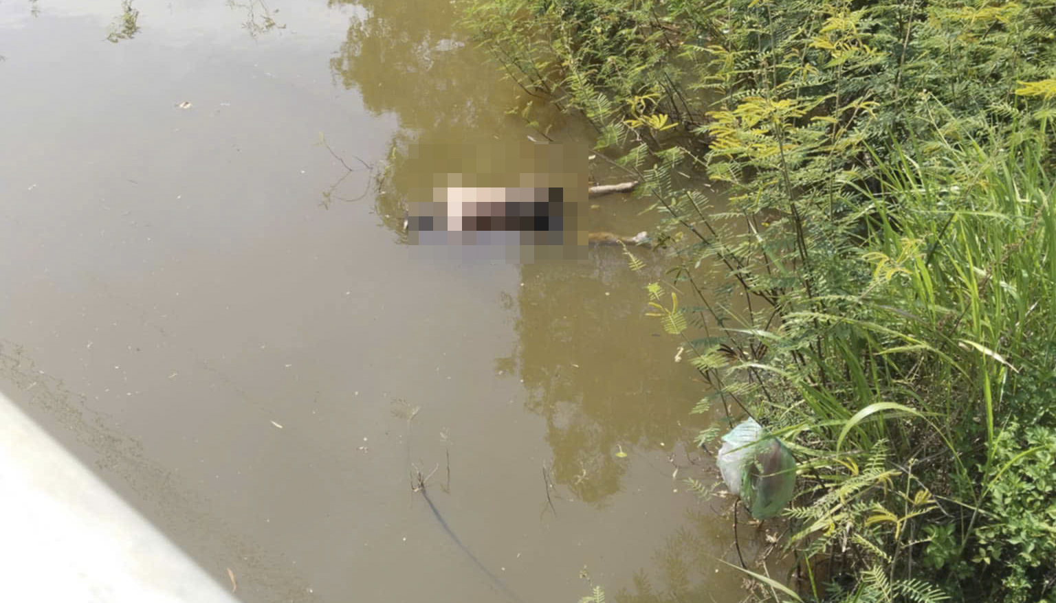 Bình Định: Phát hiện một thi thể bên bờ suối, trong giai đoạn phân hủy- Ảnh 1.