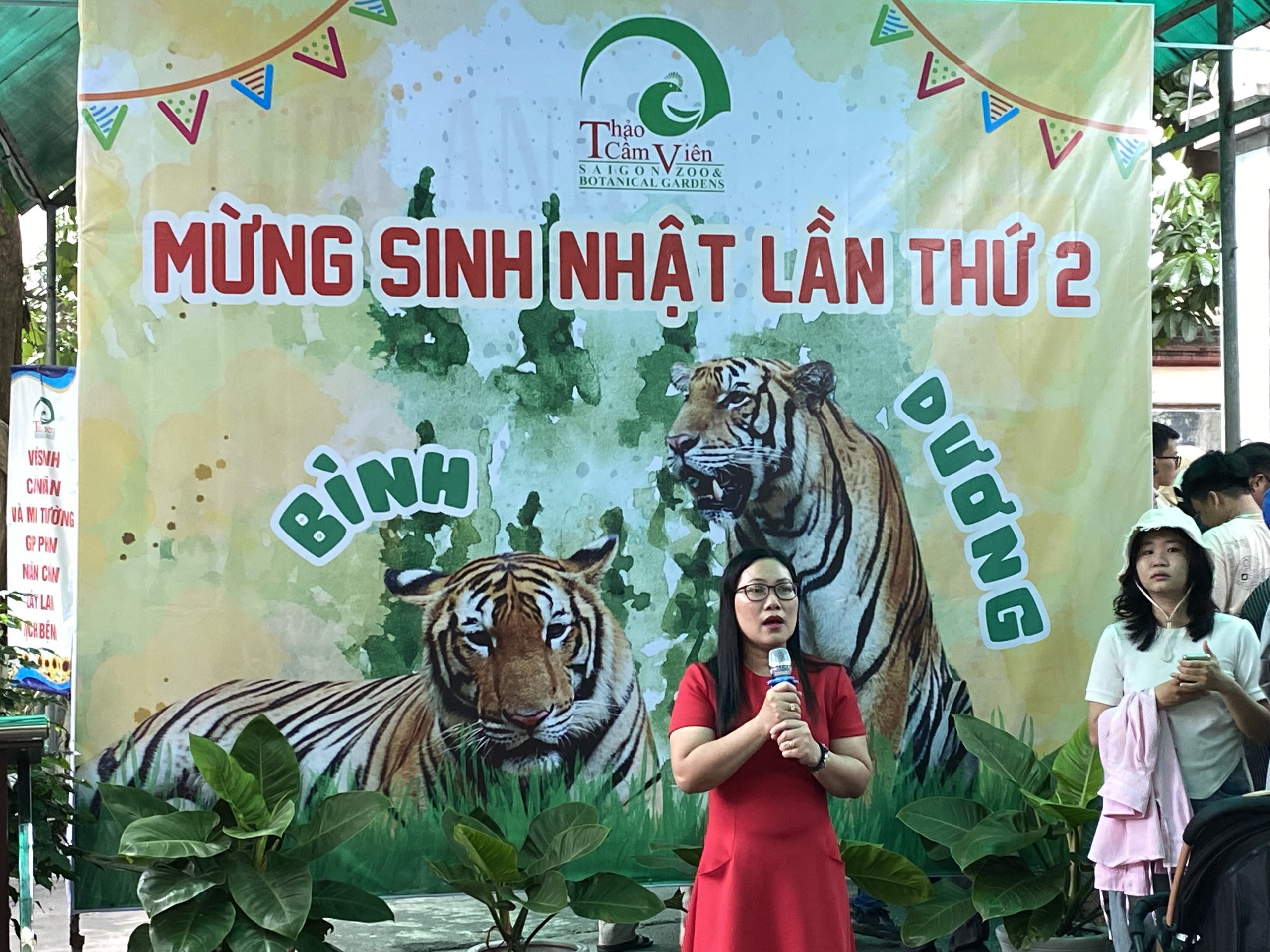 Thảo Cầm Vi&ecirc;n tổ chức tiệc &lsquo;về hưu&rsquo; cho hổ &lsquo;&Ocirc;ng T&acirc;y&rsquo;- Ảnh 2.