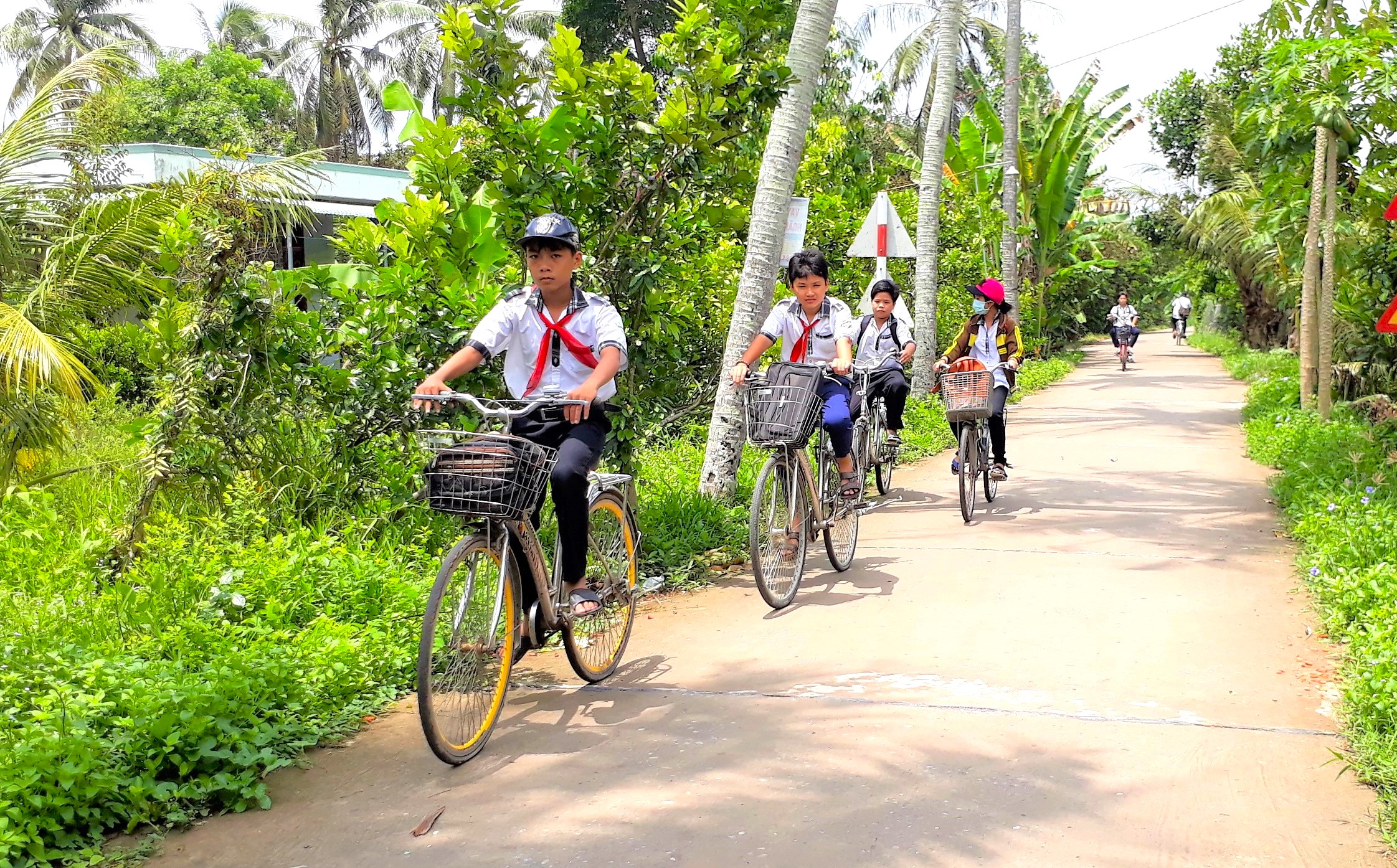 Nhịp sống mới ở “tọa độ đỏ” U Minh xưa - Ảnh 1.