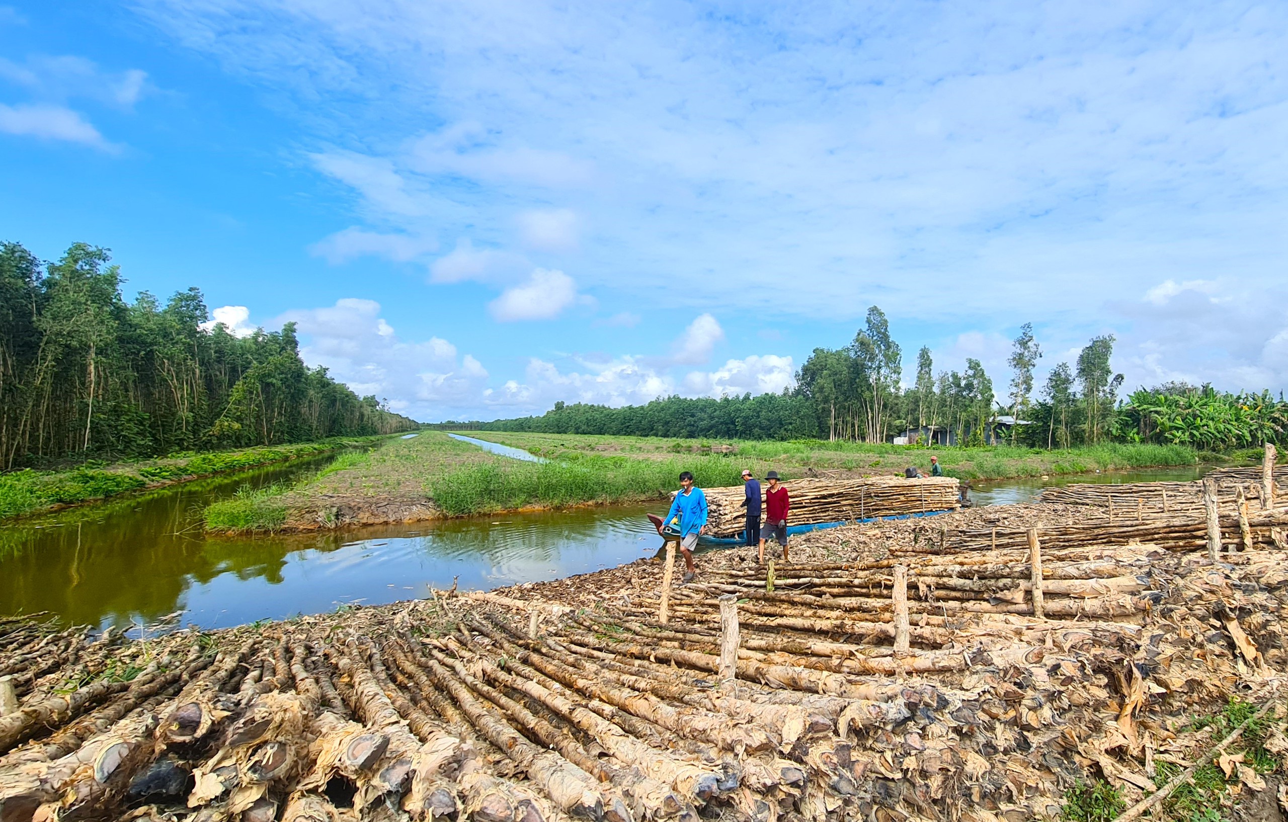 Nhịp sống mới ở “tọa độ đỏ” U Minh xưa - Ảnh 3.