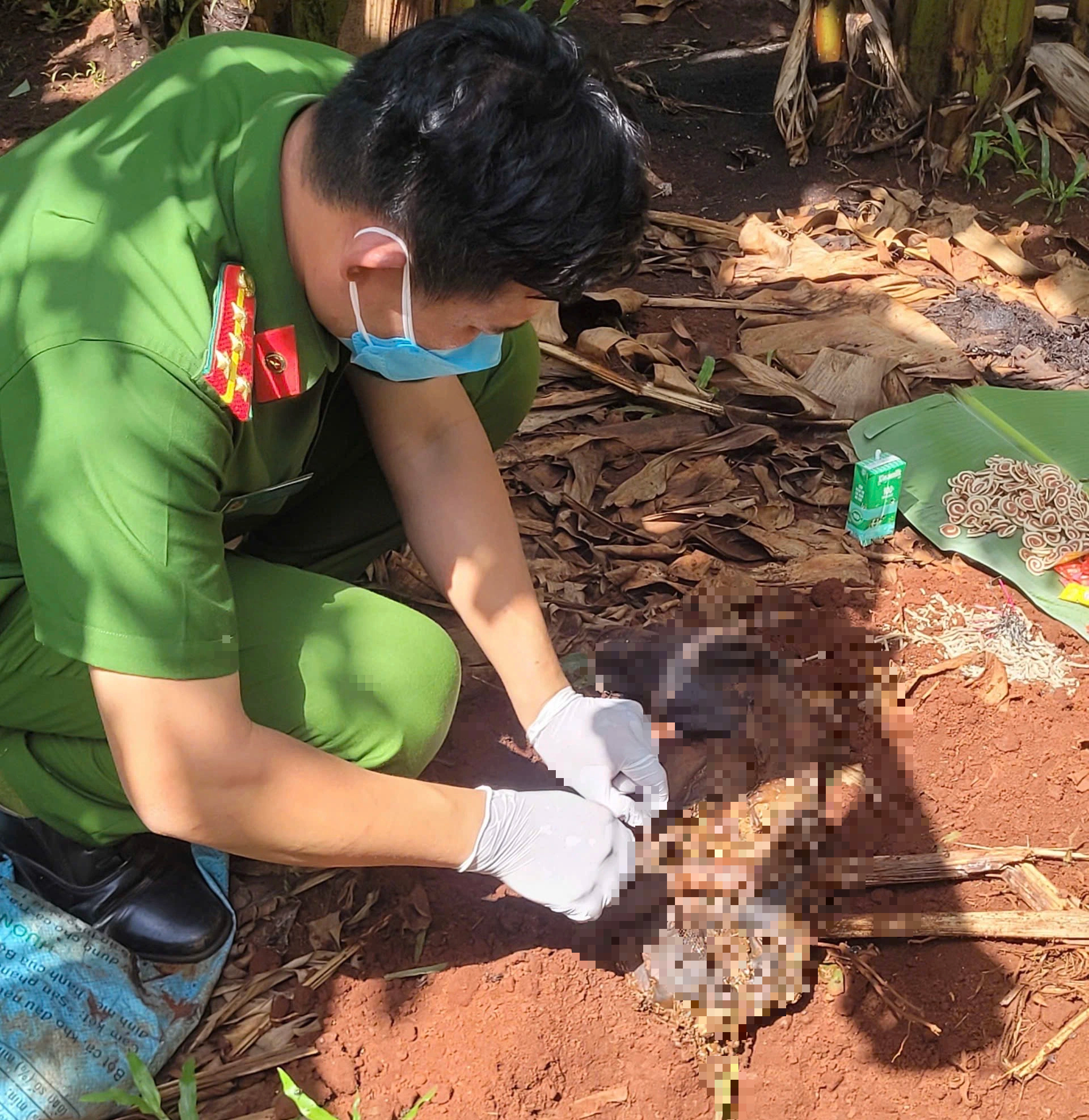 Bà Rịa - Vũng Tàu: Phát hiện thi thể trẻ sơ sinh đang phân hủy - Ảnh 2.