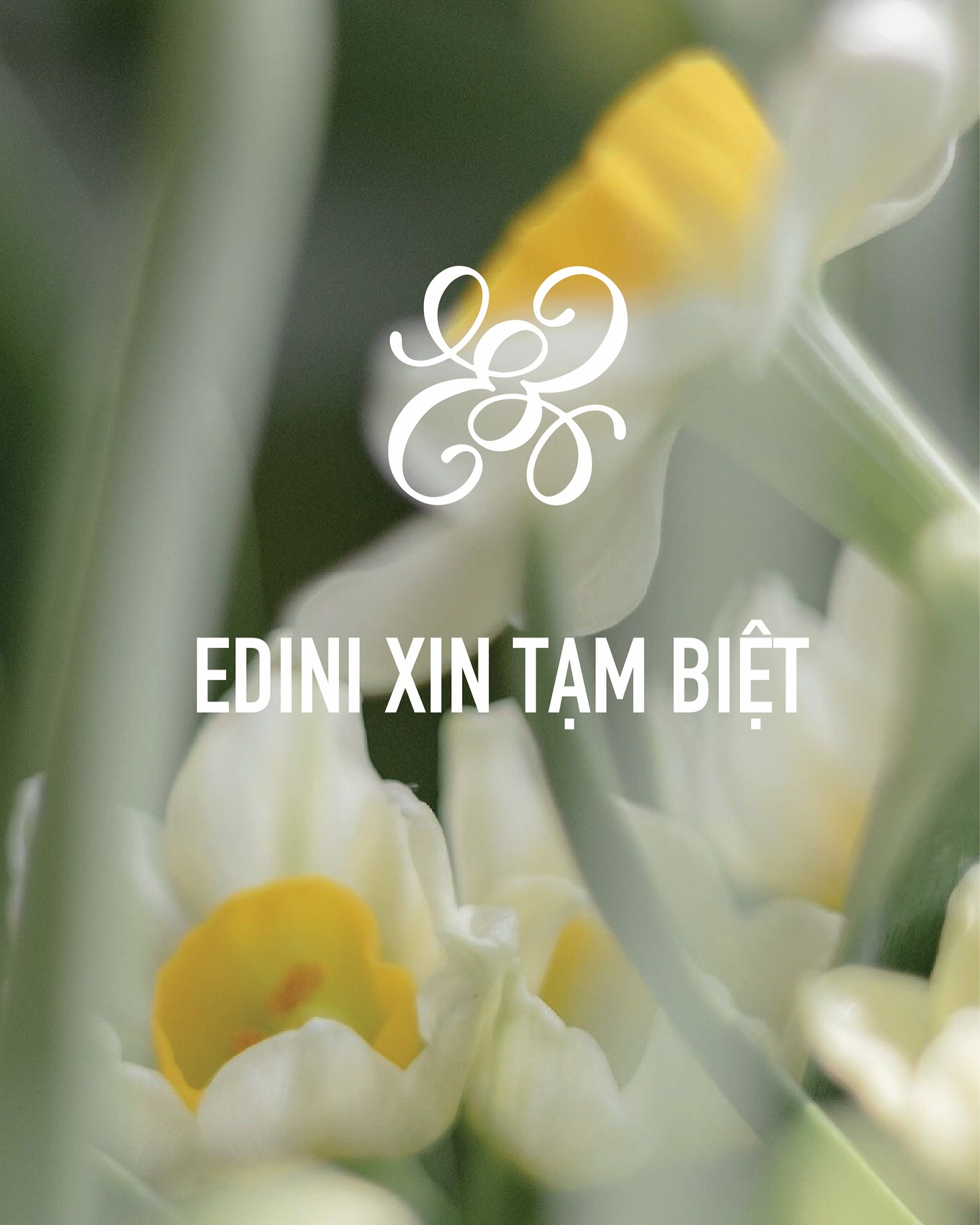 Thời trang Việt giữa 'cơn bão' đóng cửa- Ảnh 2. Thời trang Việt giữa 'cơn bão' đóng cửa- Ảnh 2.