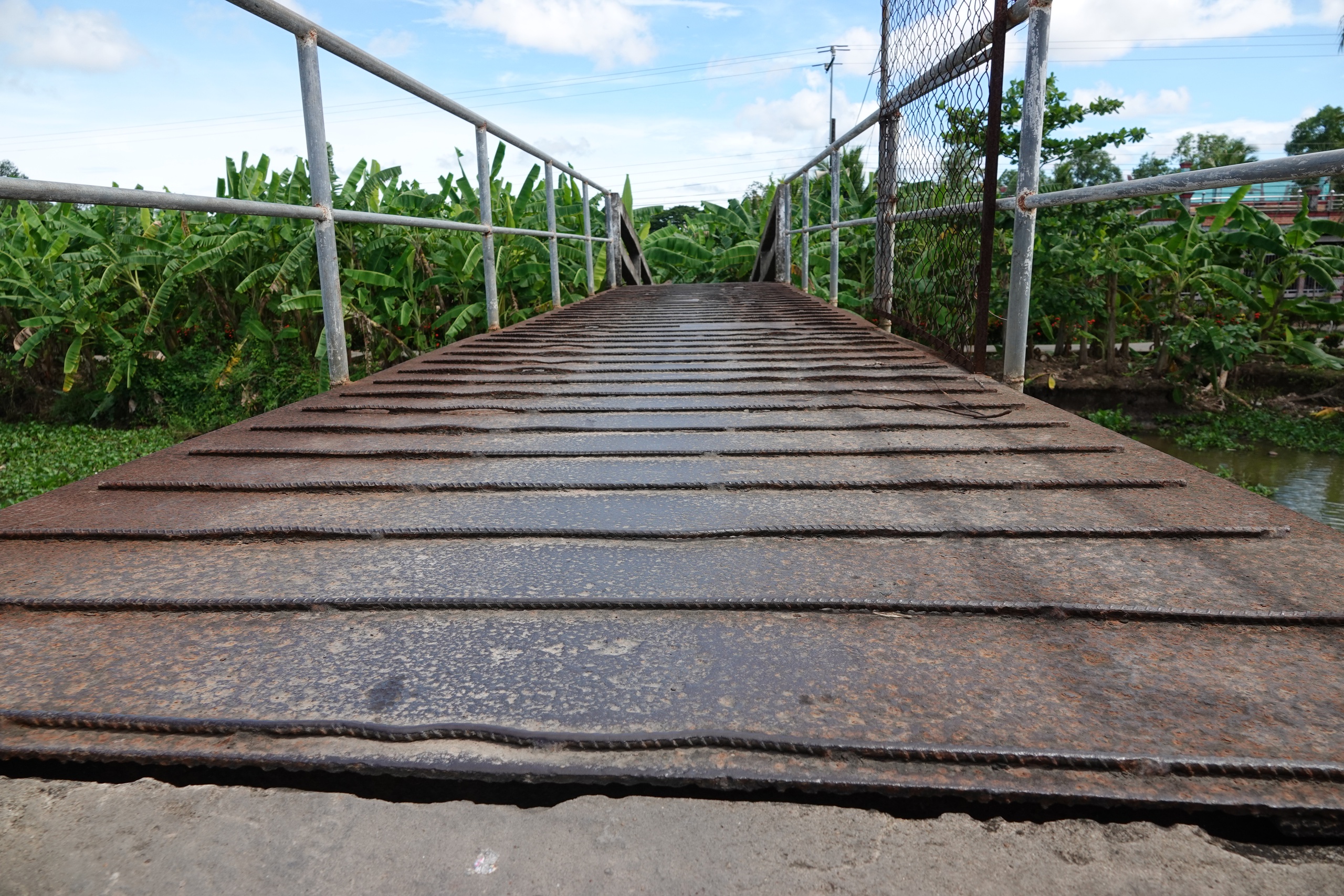 Hàng trăm hộ dân miệt vườn Cà Mau mong mỏi một cây cầu bê tông mới - Ảnh 2.