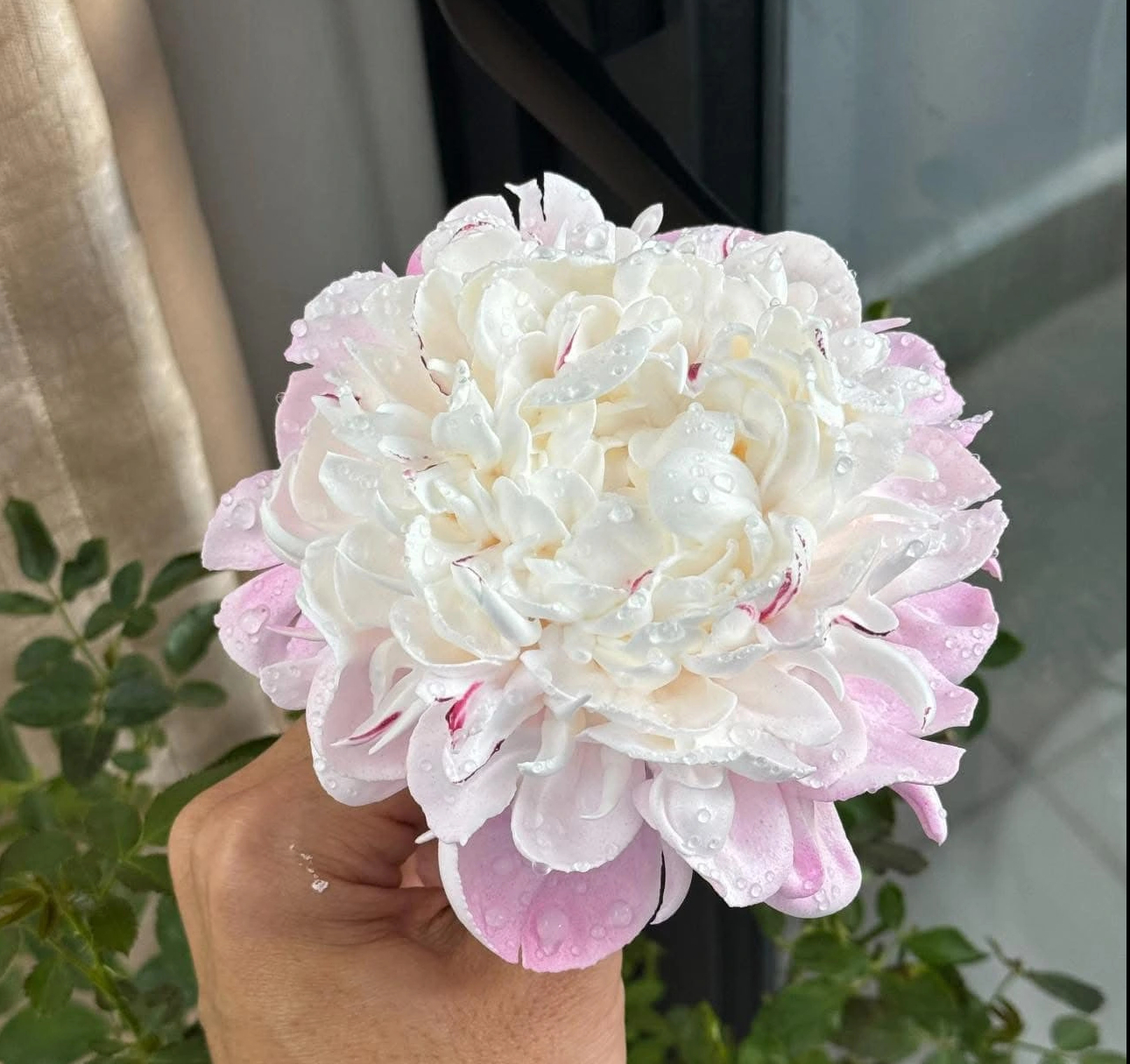 Chàng trai nặn hoa từ kem tươi khiến dân mạng không tin nổi vì quá giống hoa thật - Ảnh 3. Chàng trai nặn hoa từ kem tươi khiến dân mạng không tin nổi vì quá giống hoa thật - Ảnh 3.