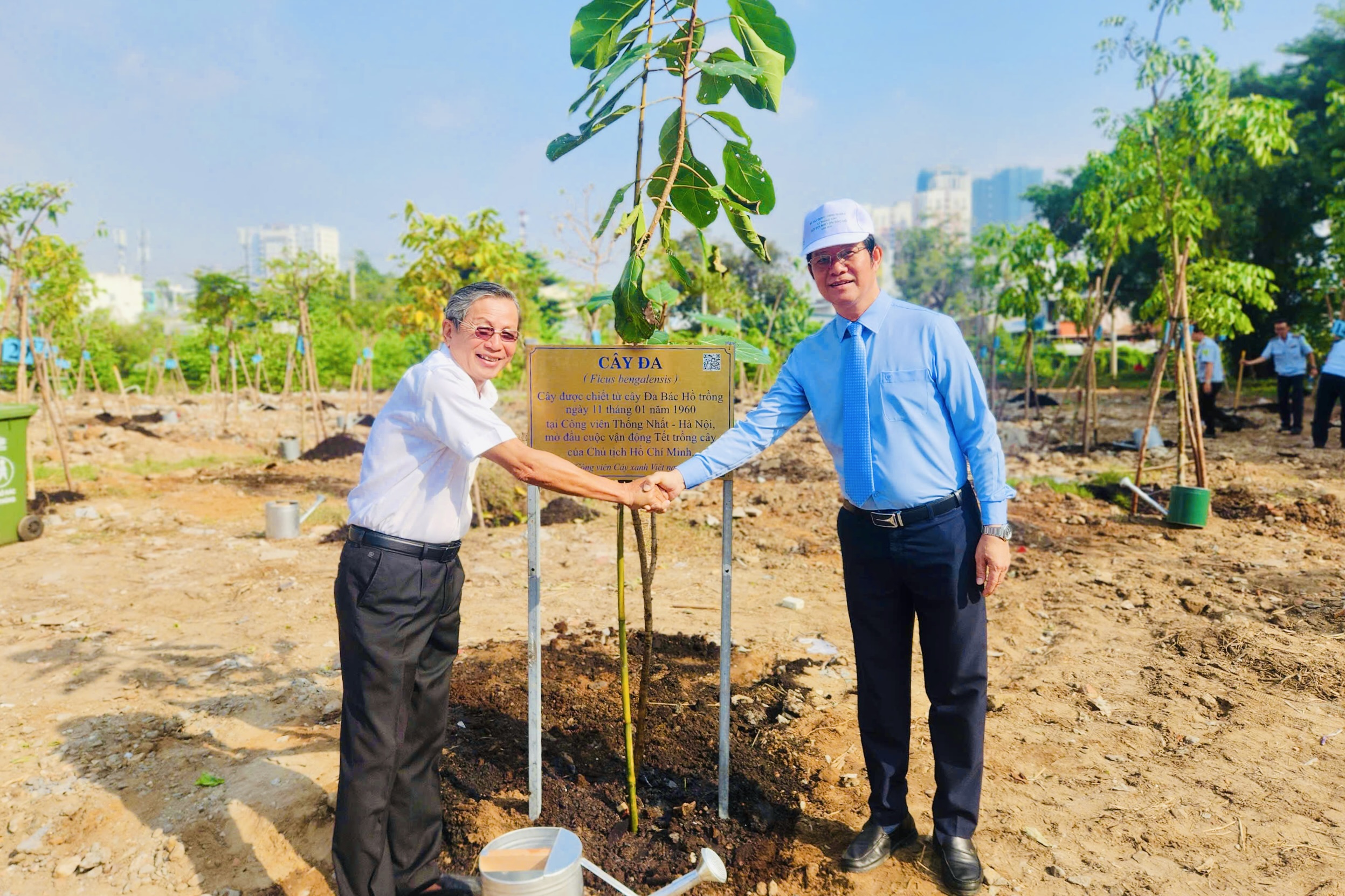 TP.HCM trồng cây đa được chiết từ cây đa Bác Hồ trồng ngày 11.1.1960- Ảnh 1. TP.HCM trồng cây đa được chiết từ cây đa Bác Hồ trồng ngày 11.1.1960- Ảnh 1.