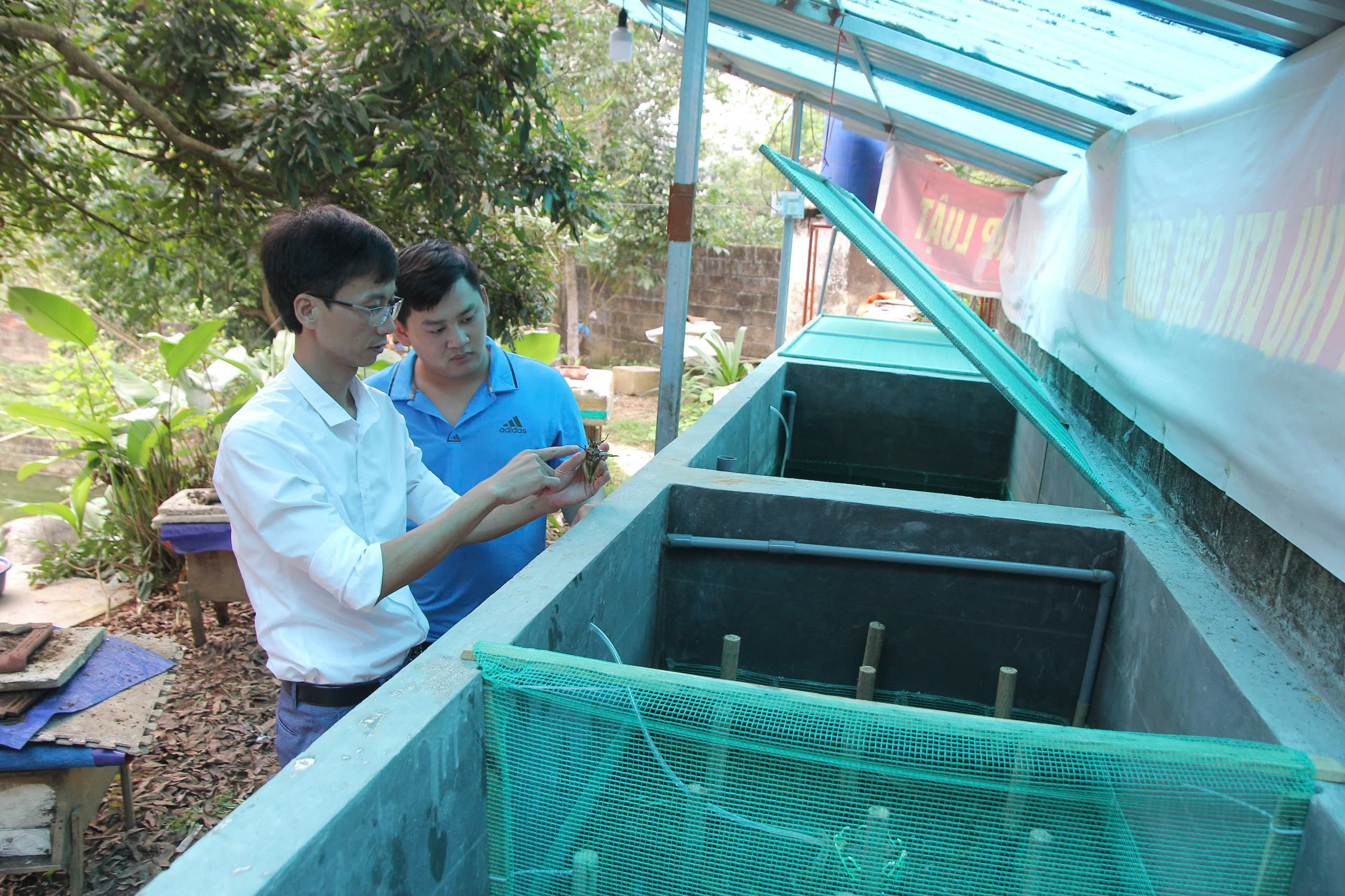 Thầy giáo Tuyên Quang làm giàu từ cà cuống- Ảnh 1. Thầy giáo Tuyên Quang làm giàu từ cà cuống- Ảnh 1.