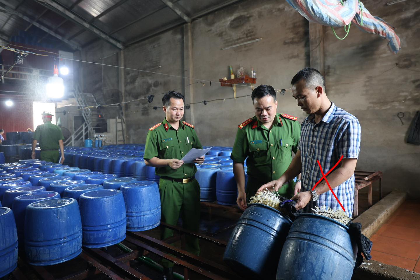 60 tấn giá đỗ 'ngậm' chất kích thích đã tiêu thụ ra thị trường- Ảnh 1. 60 tấn giá đỗ 'ngậm' chất kích thích đã tiêu thụ ra thị trường- Ảnh 1.