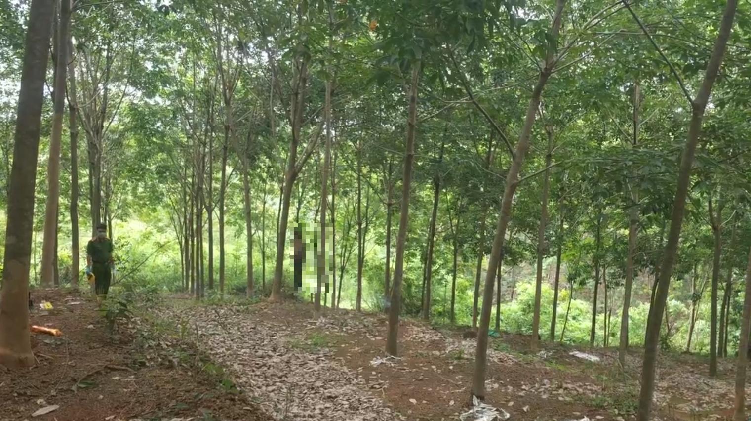 Bình Phước: Phát hiện thi thể người đàn ông treo trên cây- Ảnh 1. Bình Phước: Phát hiện thi thể người đàn ông treo trên cây- Ảnh 1.