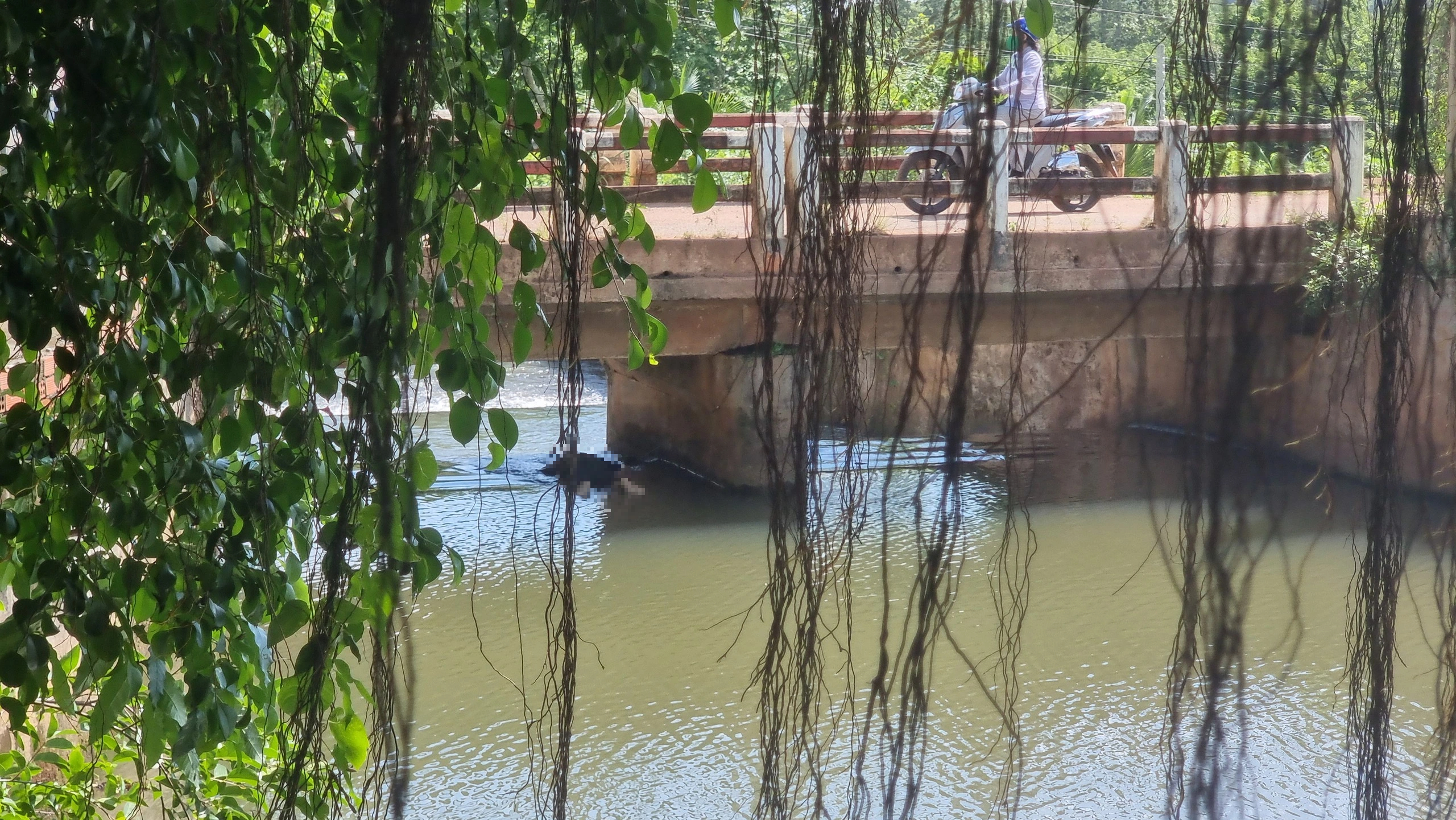 Bình Phước phát hiện thi thể người đàn ông mắc kẹt dưới cầu hồ Suối Cam - Ảnh 1. Bình Phước phát hiện thi thể người đàn ông mắc kẹt dưới cầu hồ Suối Cam - Ảnh 1.