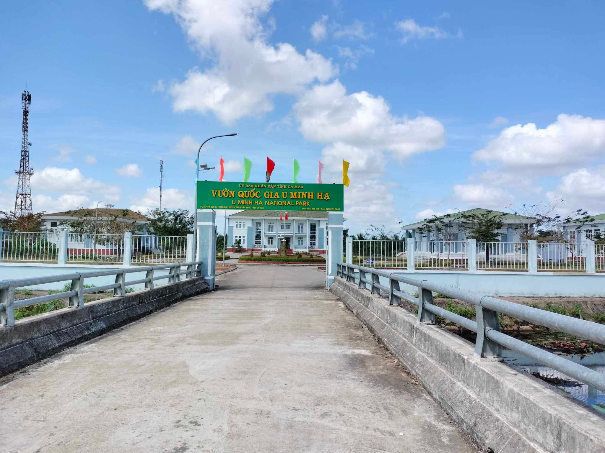Cà Mau dự kiến hợp nhất loạt trường cao đẳng, công ty xổ số và lâm nghiệp - Ảnh 1.