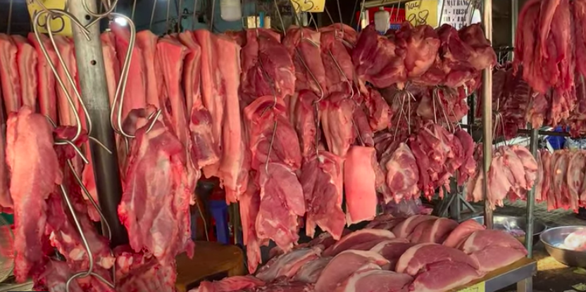 Giá heo hơi hôm nay 6.4.2026: Tăng nhẹ vài nơi - Ảnh 1.