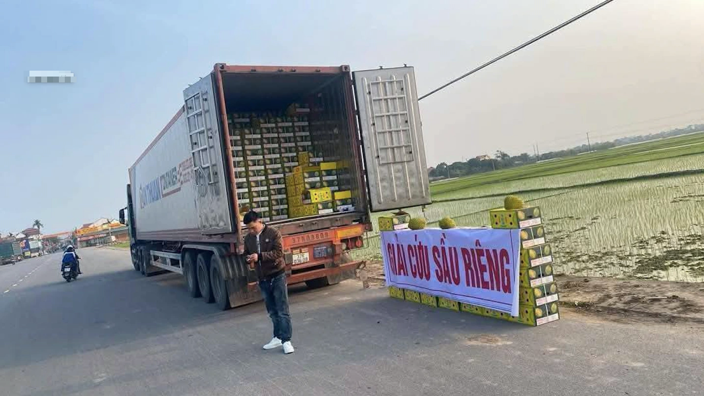 Chính phủ chỉ đạo giải quyết tình trạng nhiễm hóa chất trên sầu riêng - Ảnh 1. Chính phủ chỉ đạo giải quyết tình trạng nhiễm hóa chất trên sầu riêng - Ảnh 1.