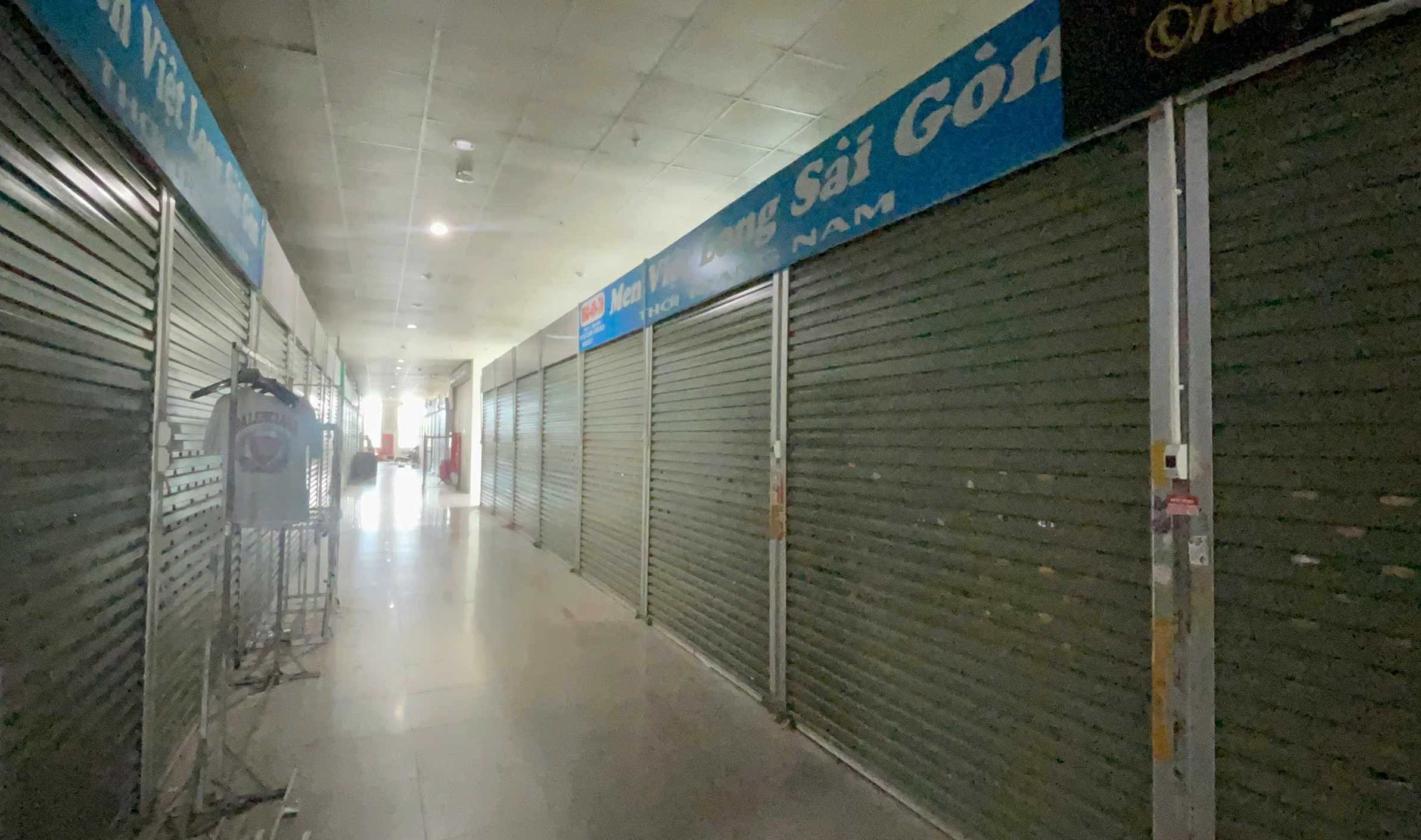  - Ảnh 5.