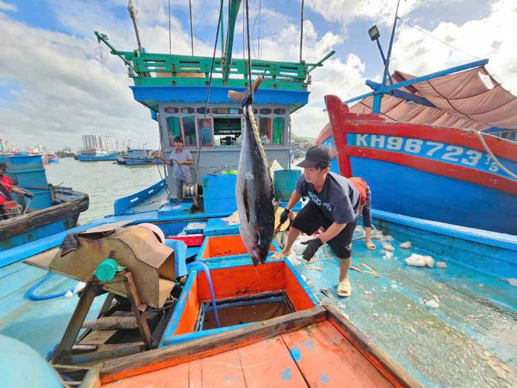 Ngư dân bớt khổ khi cảng cá được đầu tư bài bản - Ảnh 1. Ngư dân bớt khổ khi cảng cá được đầu tư bài bản - Ảnh 1.