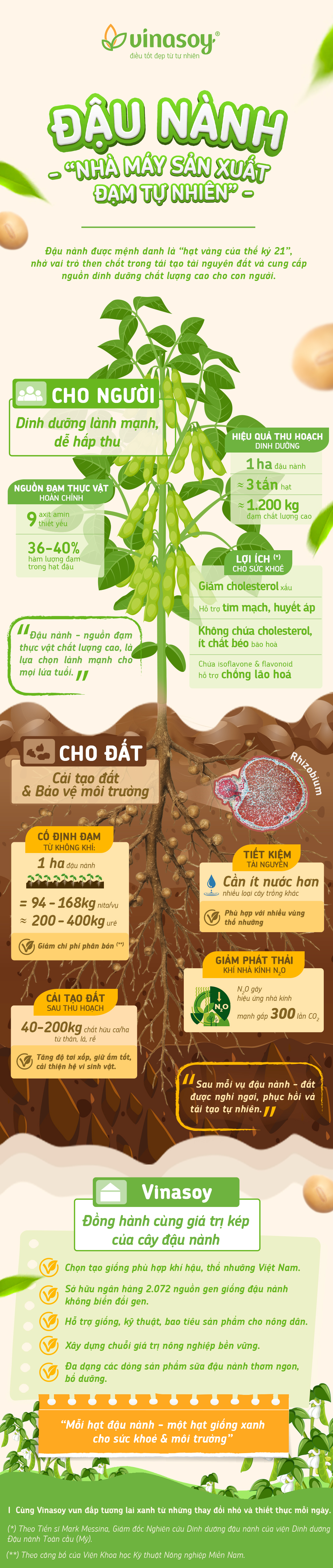  - Ảnh 1.