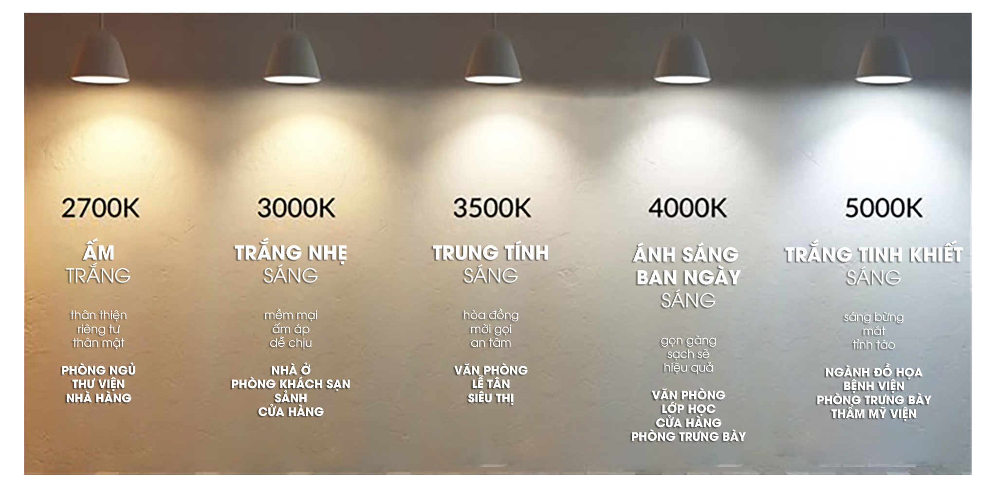 Tái sinh cơ thể mỗi đêm: Biến phòng ngủ thành 'thiên đường' phục hồi năng lượng - Ảnh 5.