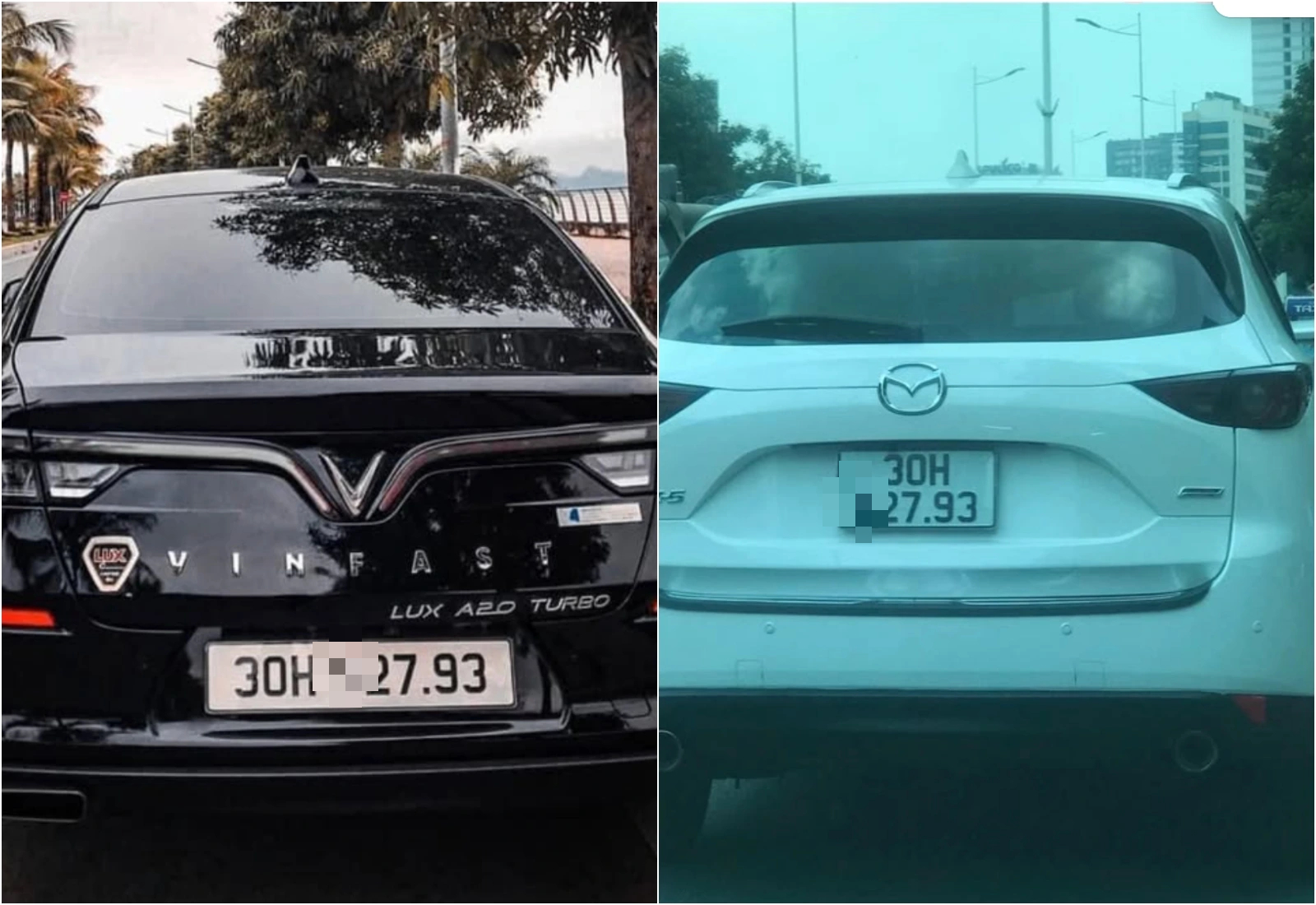 Bị phạt nguội vì trùng biển số, tài xế phải làm gì để không 'mất tiền oan'? Bị phạt nguội vì trùng biển số xe phải làm gì để không mất tiền oan? - Ảnh 1.