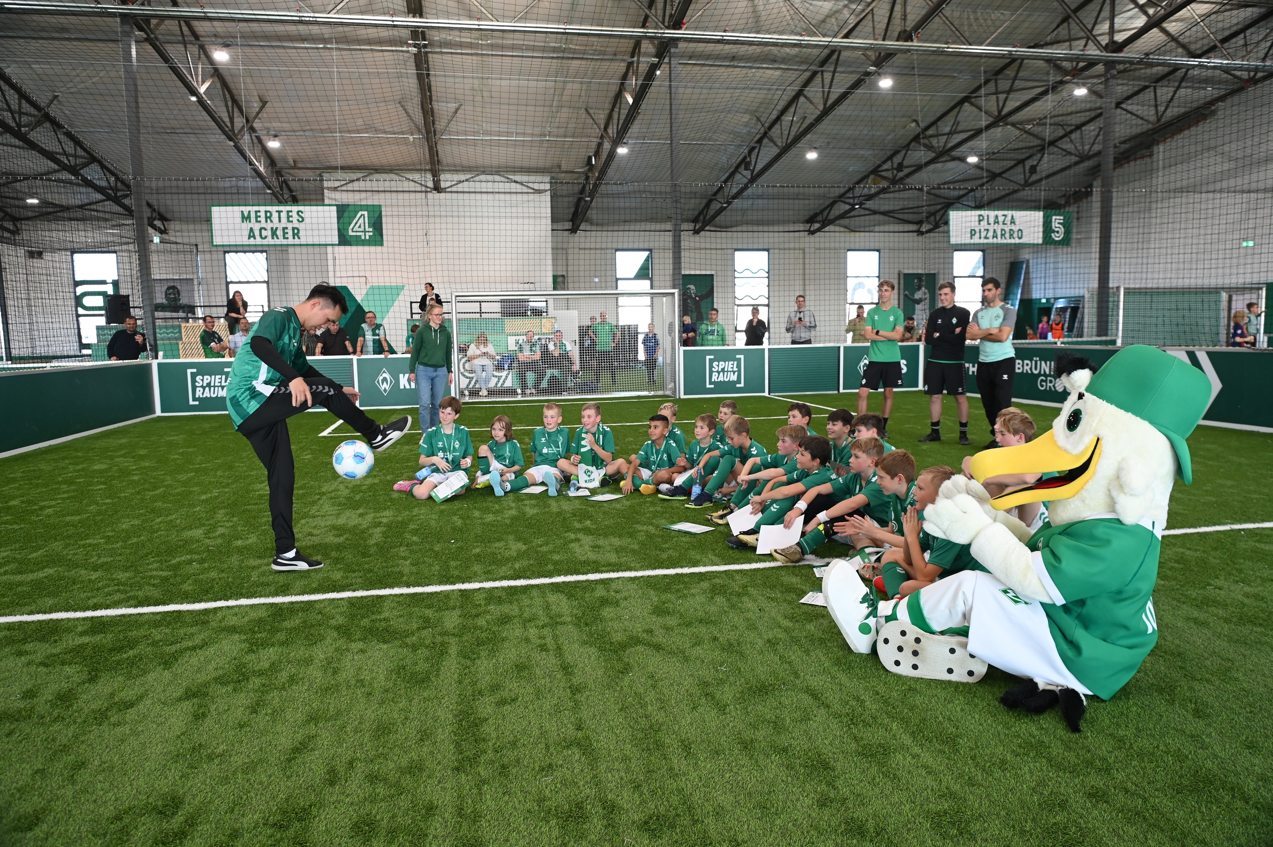 Giải phóng đôi chân, trải nghiệm rực rỡ tại Lễ hội mùa hè Eco Central Park 2025 - Ảnh 2.