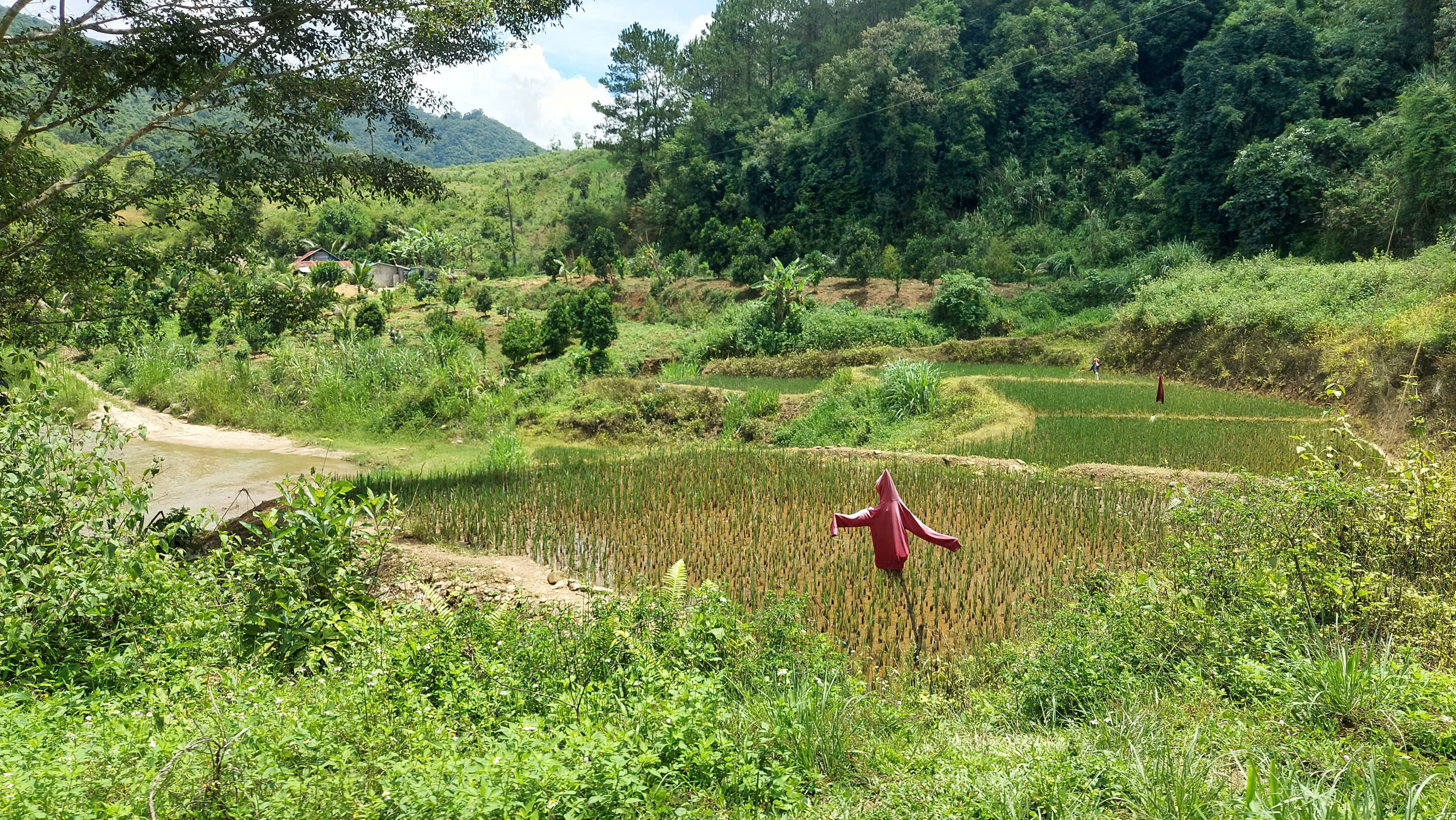 Người dân Đăk Nhoong kiên quyết không giao đất cho thủy điện Đăk Pru 3 - Ảnh 2. Người dân Đăk Nhoong kiên quyết không giao đất cho thủy điện Đăk Pru 3 - Ảnh 2.