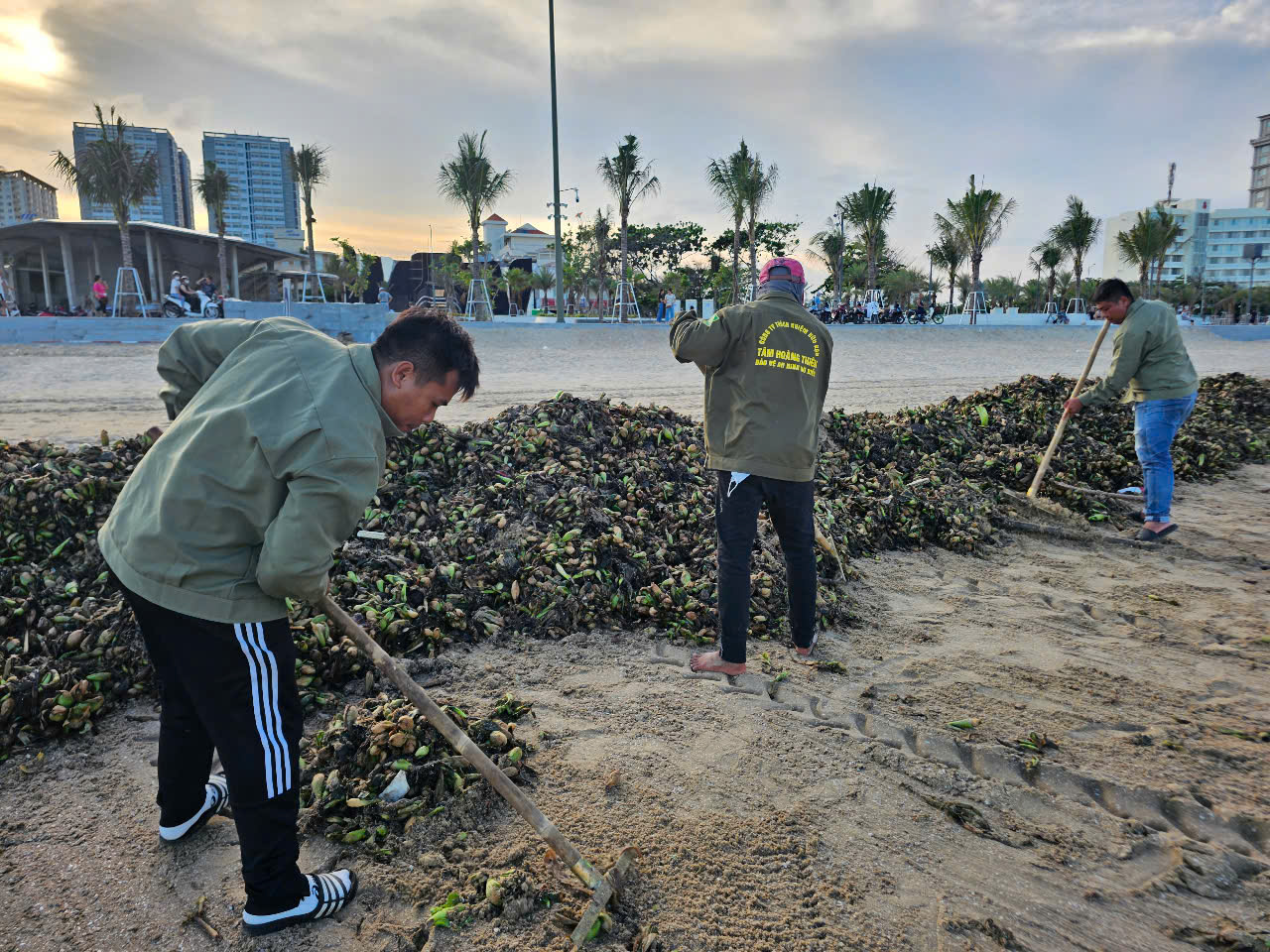 Bà Rịa - Vũng Tàu: Hàng trăm tấn ồ ạt tấn công Bãi Sau Vũng Tàu - Ảnh 2.