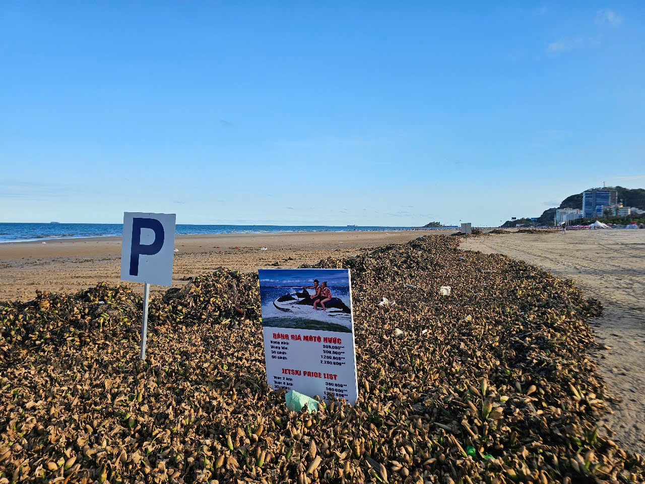 Bà Rịa - Vũng Tàu: Hàng trăm tấn ồ ạt tấn công Bãi Sau Vũng Tàu - Ảnh 1.