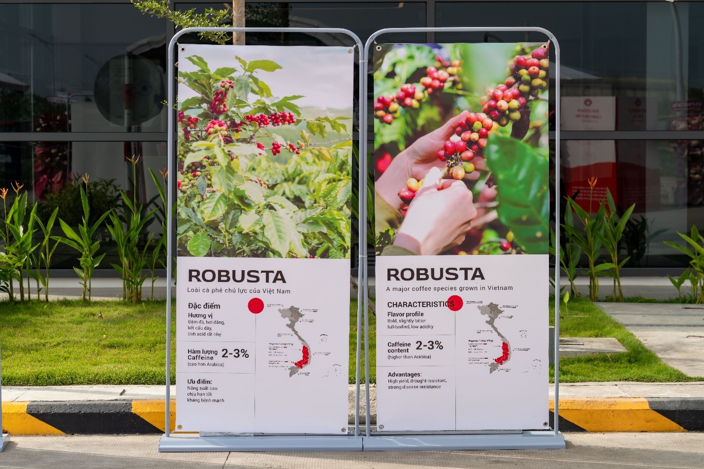 Highlands Coffee và sứ mệnh đưa cà phê Việt ra thế giới - Ảnh 1.