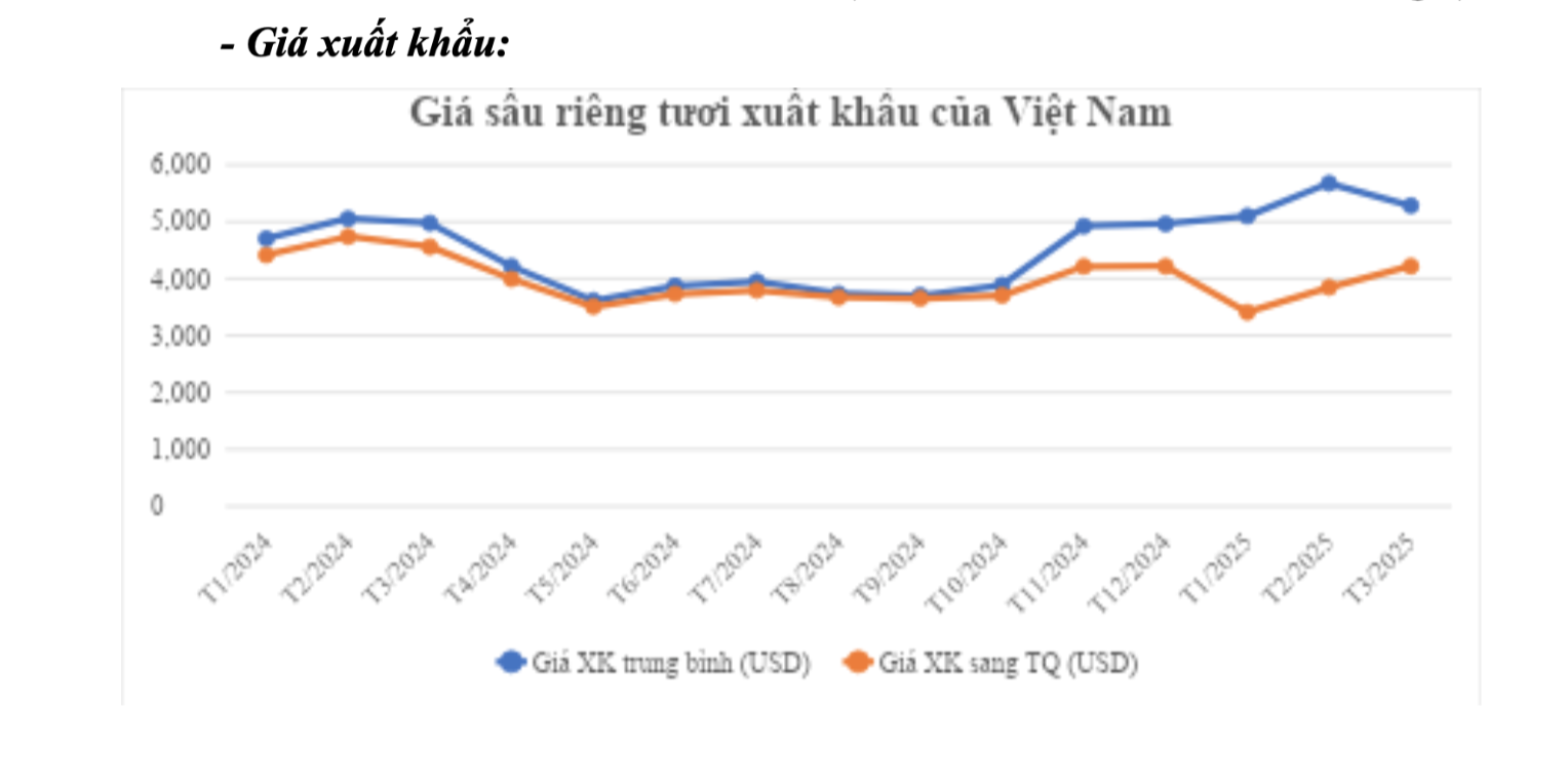 Giải pháp nào đưa sầu riêng trở lại đường đua?- Ảnh 3.