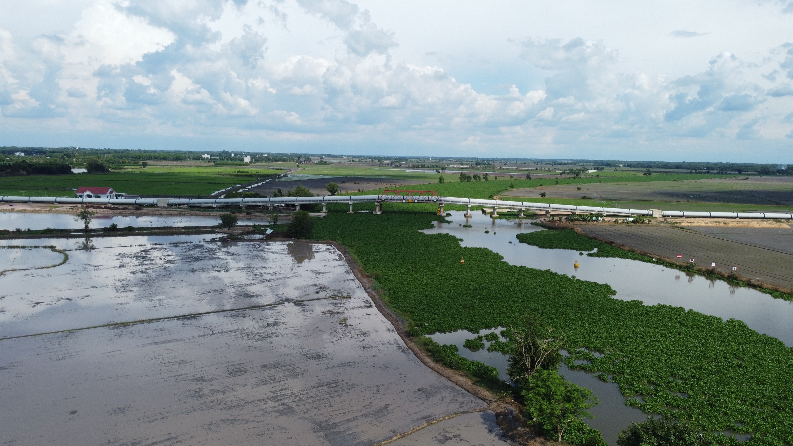 Đưa nước vượt sông Vàm Cỏ Đông: Giải cơn khát cho nông nghiệp Tây Ninh - Ảnh 1.