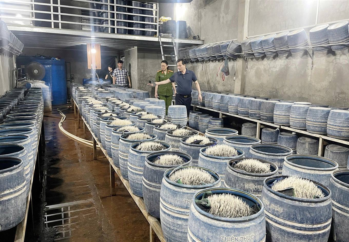 348 tấn giá đỗ ngâm hóa chất độc hại đã bán ra thị trường- Ảnh 2.