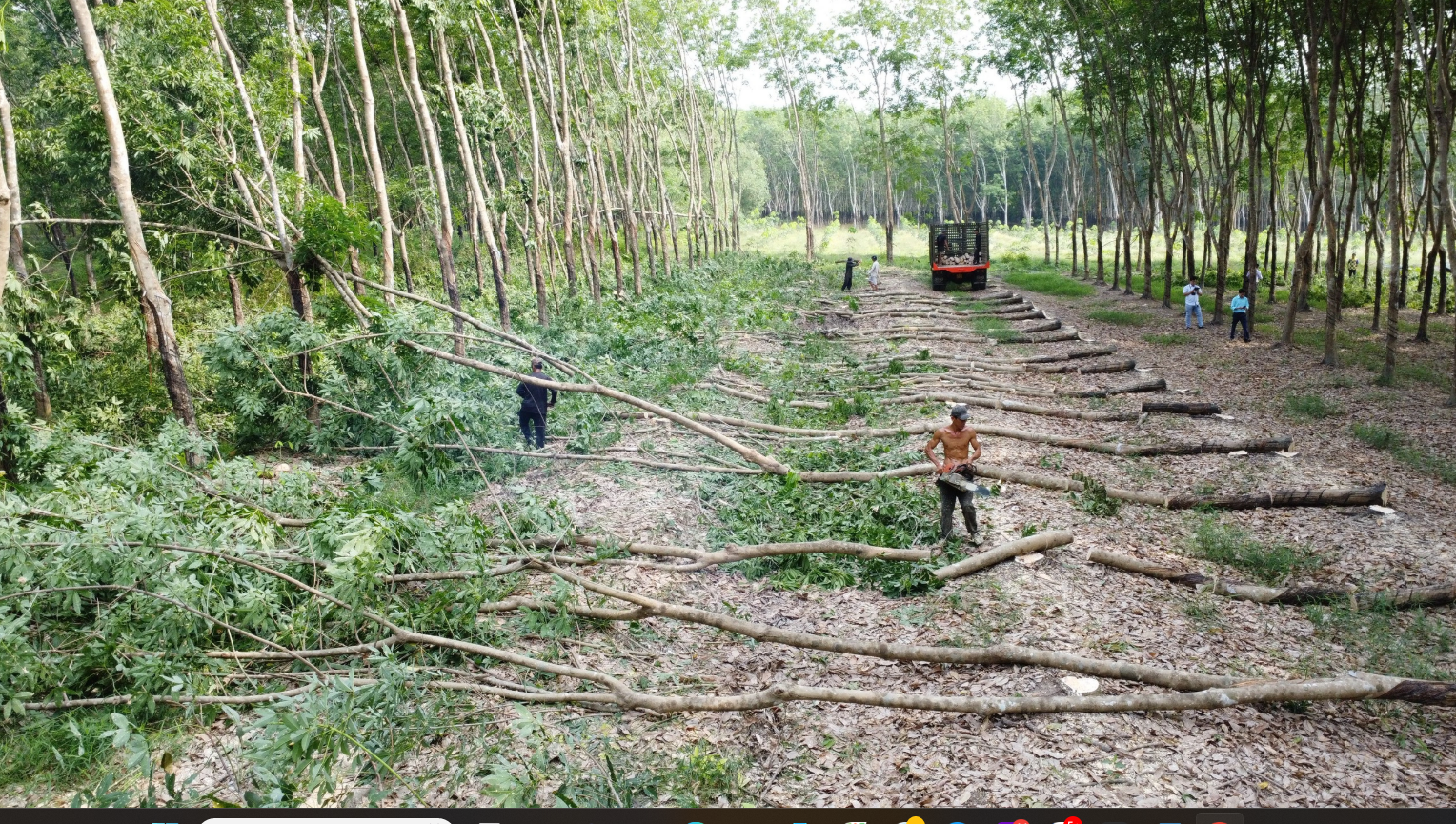 Tập đoàn Sơn Hải kiến nghị Bình Phước lập tổ chuyên gia độc lập, chấm thầu lại- Ảnh 2. Tập đoàn Sơn Hải kiến nghị Bình Phước lập tổ chuyên gia độc lập, chấm thầu lại- Ảnh 2.