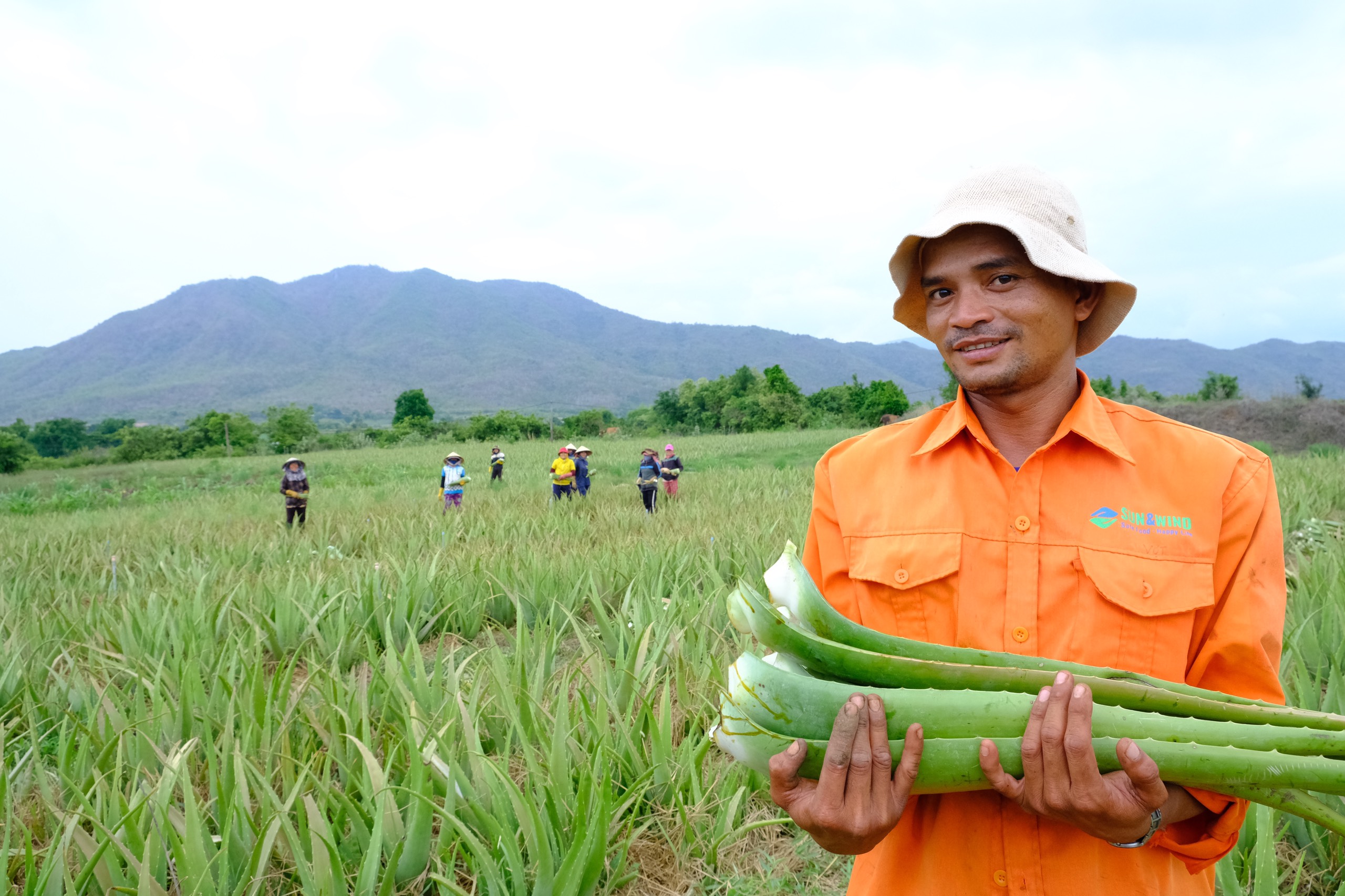 'Vua nha đam' bật mí bí quyết tăng lợi nhuận 100%- Ảnh 1. 'Vua nha đam' bật mí bí quyết tăng lợi nhuận 100%- Ảnh 1.