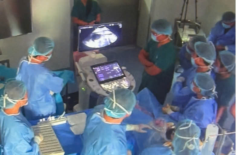 TP.HCM được bệnh viện Singapore ‘chọn mặt gửi vàng’ cho ca thông tim bào thai nguy kịch  - Ảnh 1.