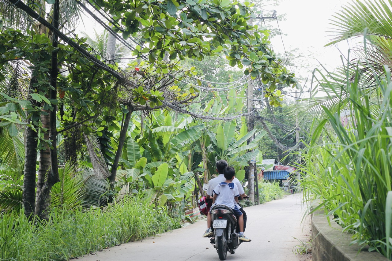 Tên phường xã mới sáp nhập ở TP.HCM: Phường Bình Quới độc nhất 'làng giữa phố'- Ảnh 7.