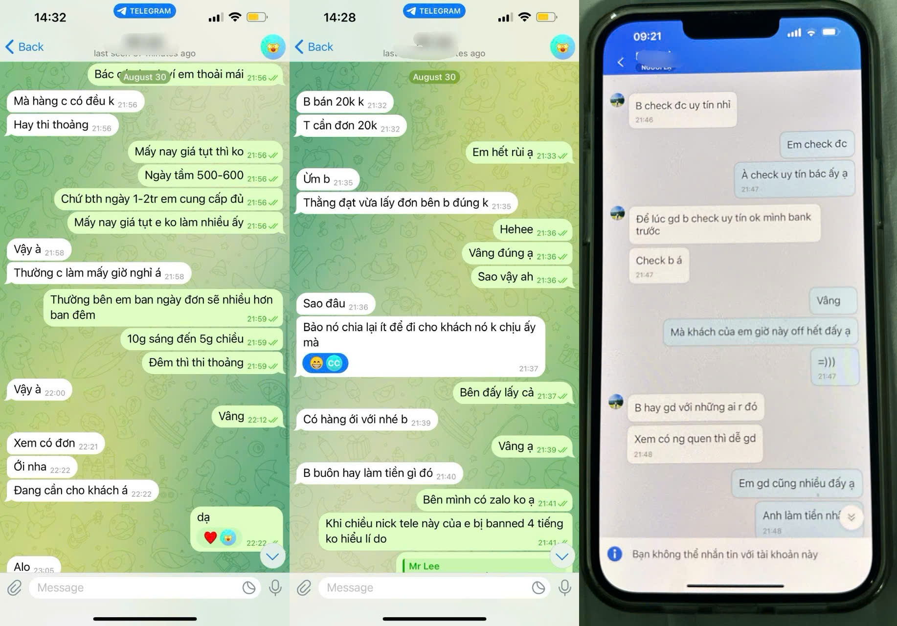 Bắt kẻ lừa đảo mạo danh KOL, admin hội nhóm tiền ảo- Ảnh 2.