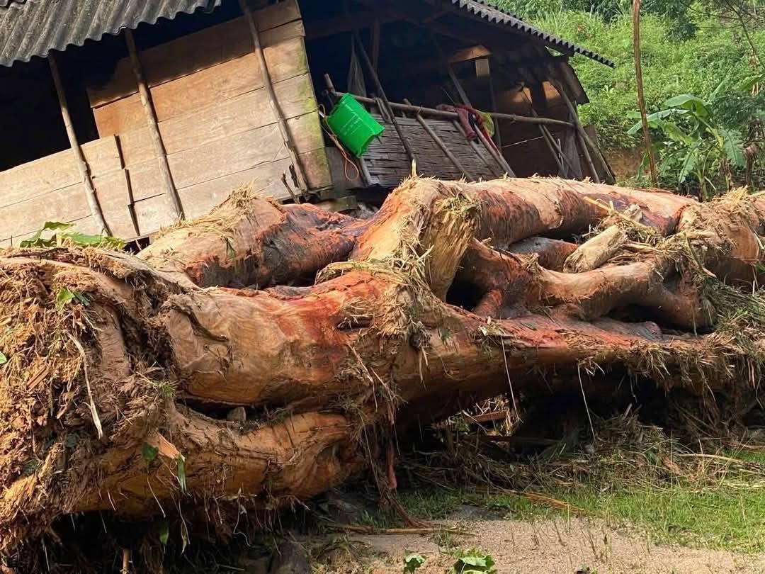 Lũ quét ập về trong đêm, đánh sập nhiều ngôi nhà- Ảnh 3. Lũ quét ập về trong đêm, đánh sập nhiều ngôi nhà- Ảnh 3.