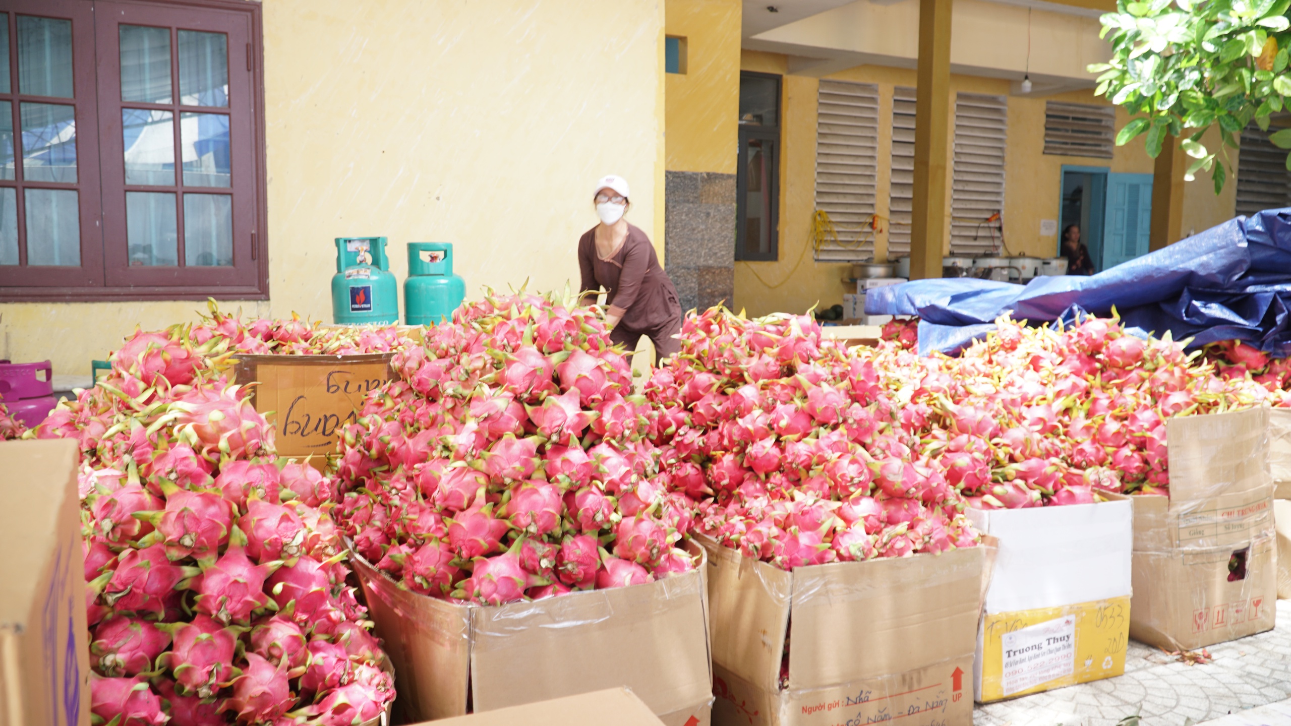 Bếp ch&ugrave;a Qu&aacute;n Thế &Acirc;m đỏ lửa nấu h&agrave;ng chục tấn thực phẩm đ&oacute;n x&aacute; lợi Phật - Ảnh 3.