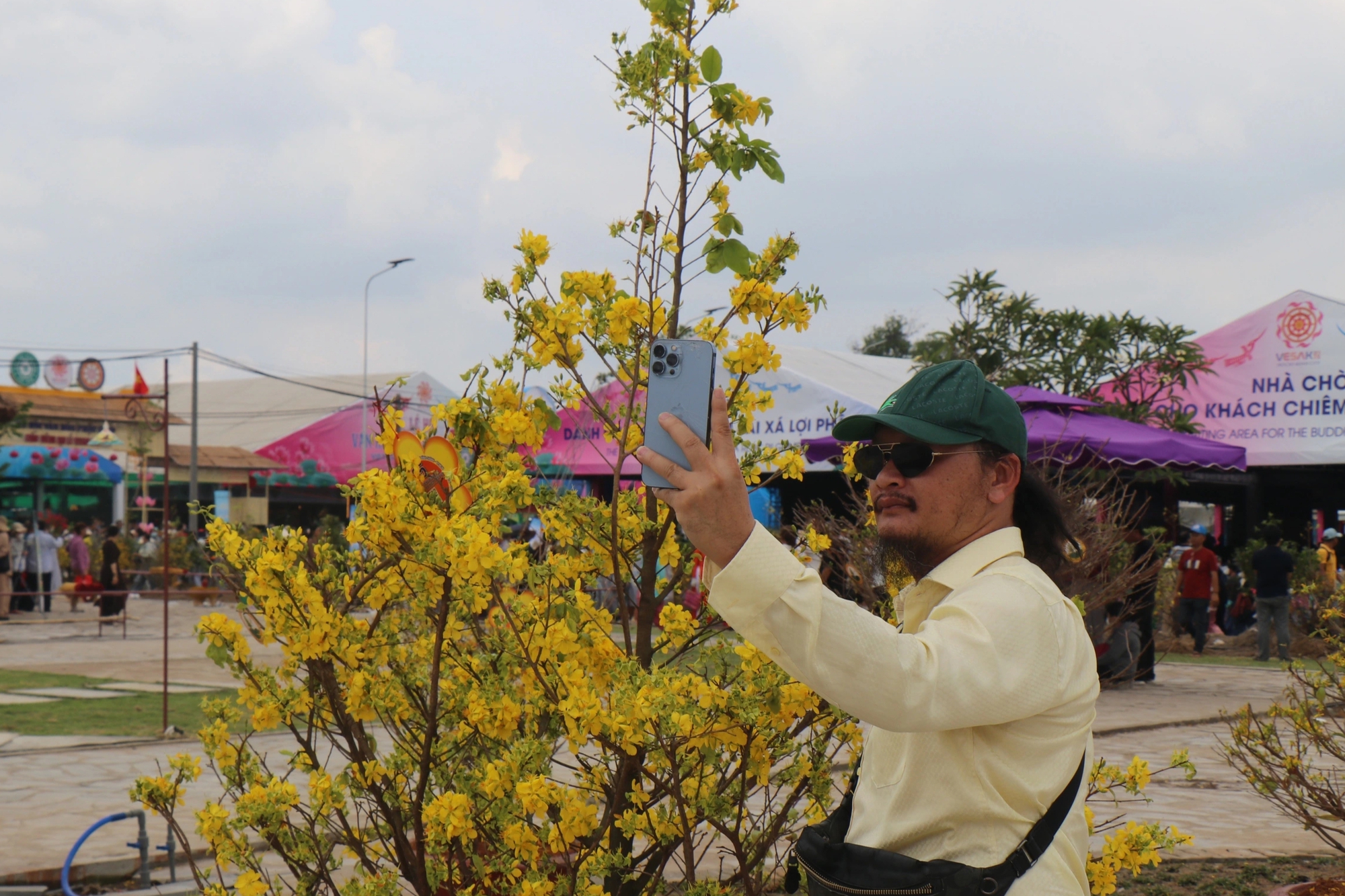 Mai vàng Bình Lợi nở rộ giữa mùa hè trong đại lễ Vesak 2025 - Ảnh 2.
