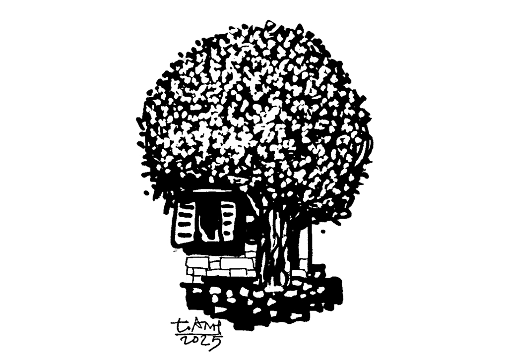 Hoa giấy - Thơ của Hạ Minh - Ảnh 1.