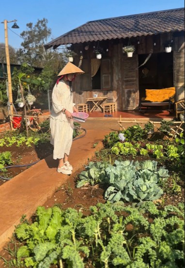 rong ngôi nhà gỗ, tự trồng vườn rau xanh - Ảnh 2.