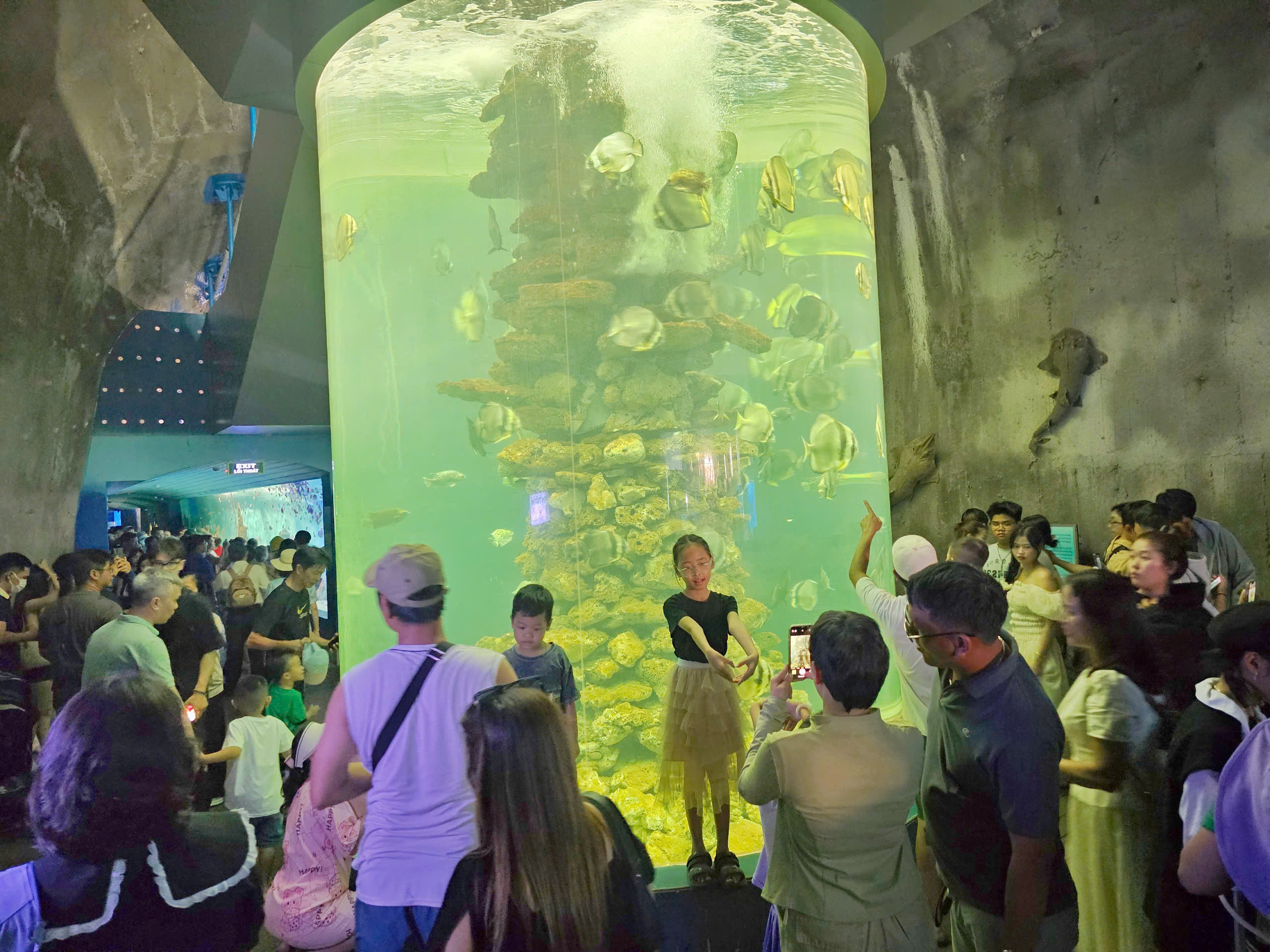 Du khách chen kín ngắm cá tại Bảo tàng Hải dương học Nha Trang - Ảnh 2.