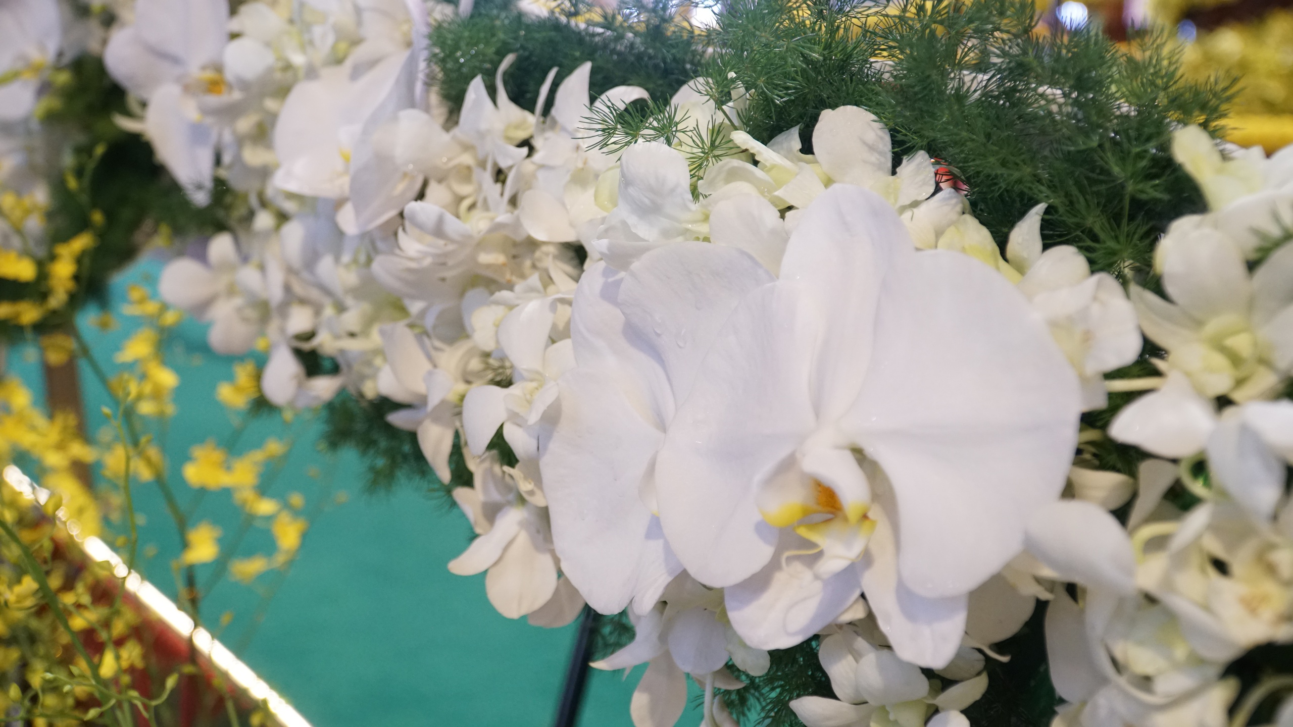 H&igrave;nh ảnh đầu ti&ecirc;n trước giờ cung nghinh x&aacute; lợi Phật ở ch&aacute;nh điện ch&ugrave;a Qu&aacute;n Thế &Acirc;m- Ảnh 8.