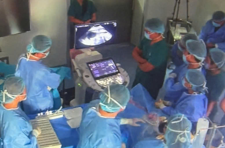 Bộ trưởng Bộ Y tế khen ê kíp thông tim bào thai của sản phụ Singapore- Ảnh 1.