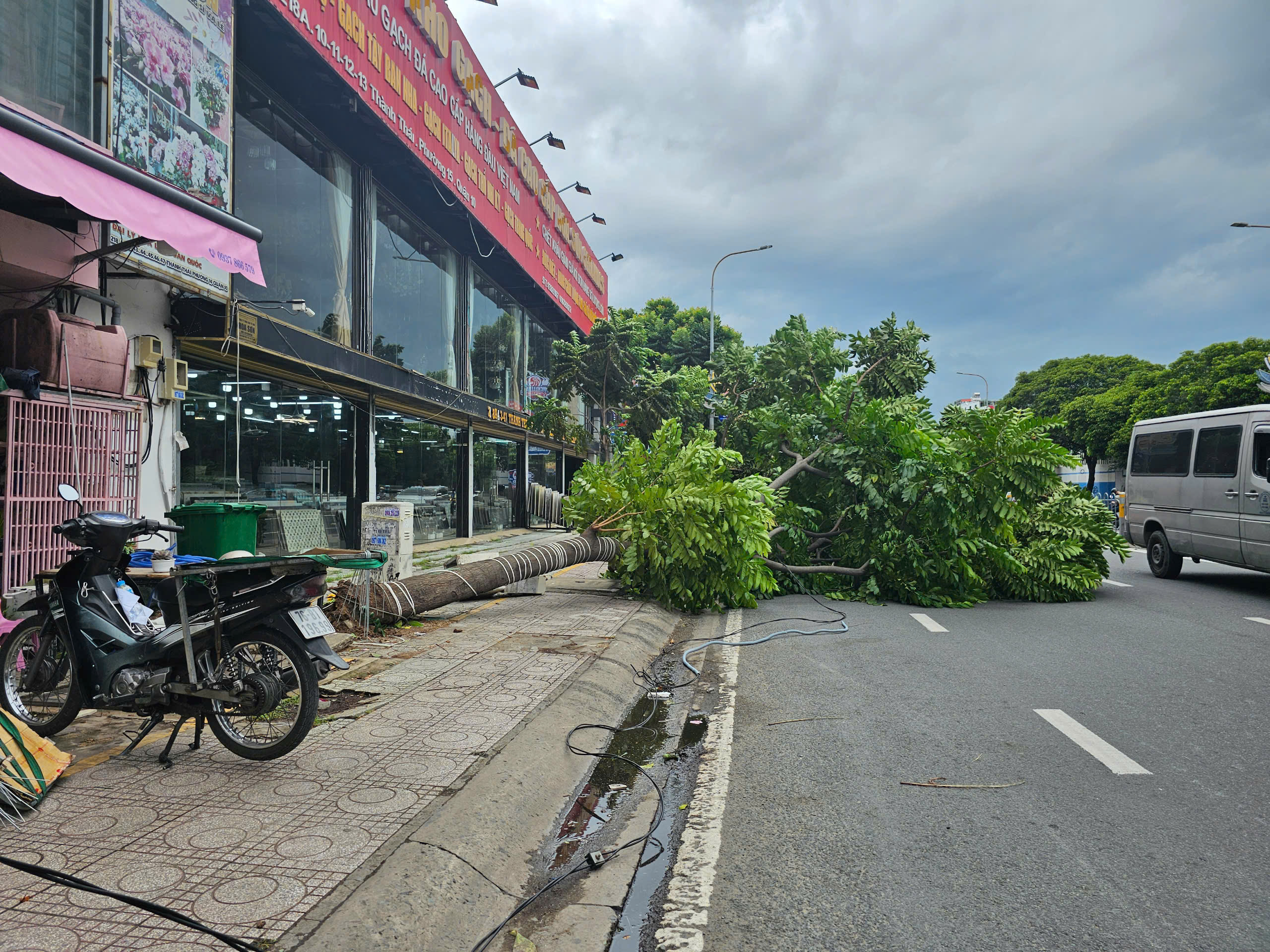 TP.HCM: Nhiều cây xanh ngã, có người bị thương - Ảnh 2.