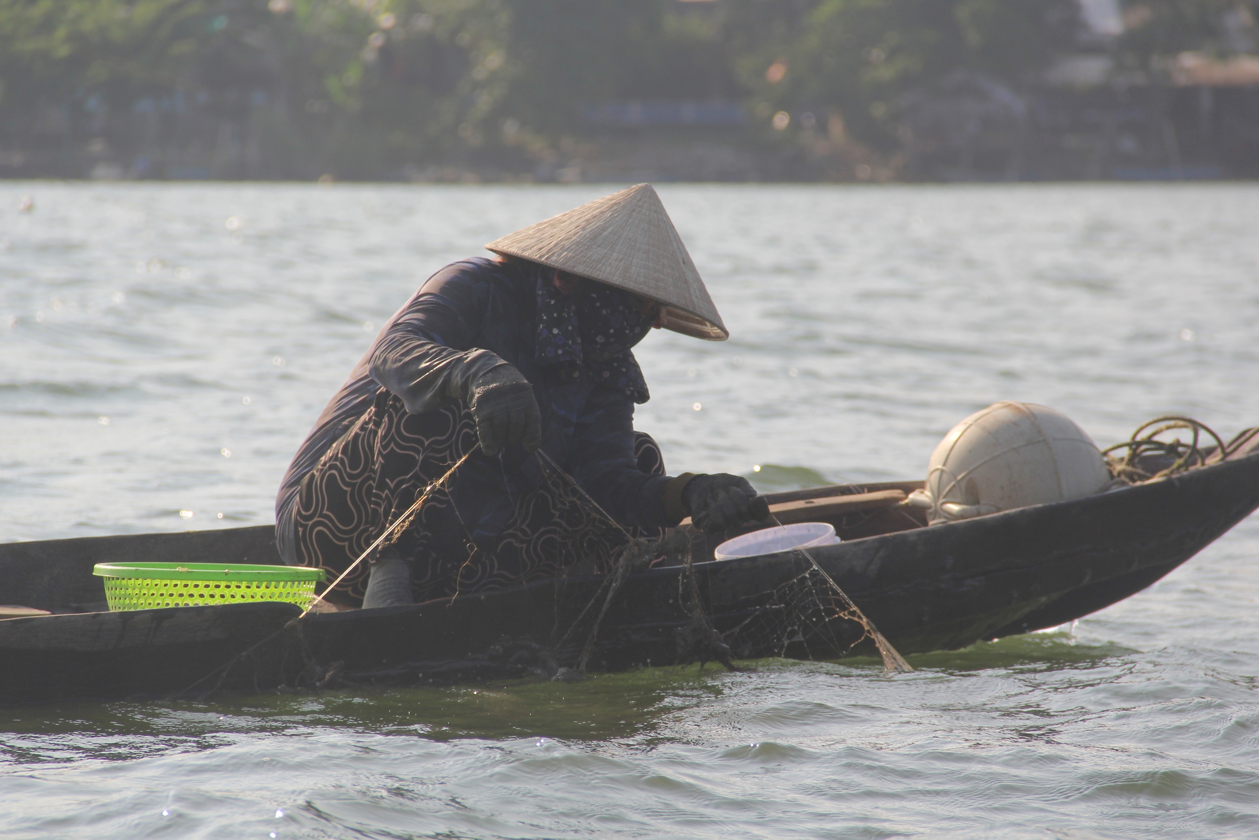 Kỳ lạ lòai thỏ biển đẻ ra bún tại sông Cu Đê , món ngon Đà Nẵng - Ảnh 6. Kỳ lạ lòai thỏ biển đẻ ra bún tại sông Cu Đê , món ngon Đà Nẵng - Ảnh 6.