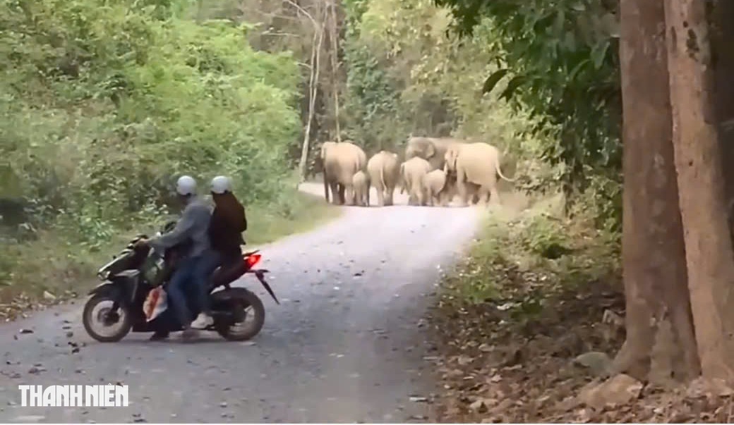  Hồ Trị An đang mùa đẹp nhất trong năm- Ảnh 12.