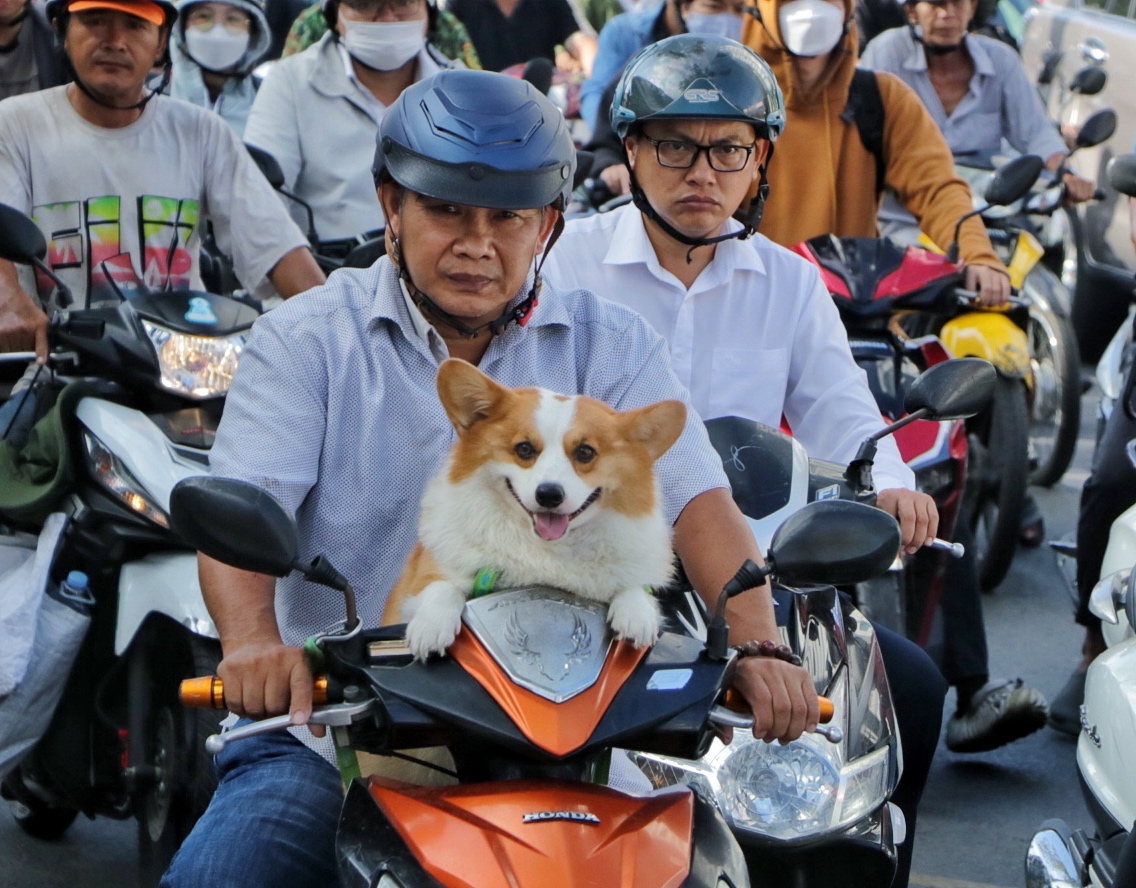 Đường phố TP . HCM nhộn nhịp trở lại sau kỳ nghỉ lễ dài - Ảnh 6.